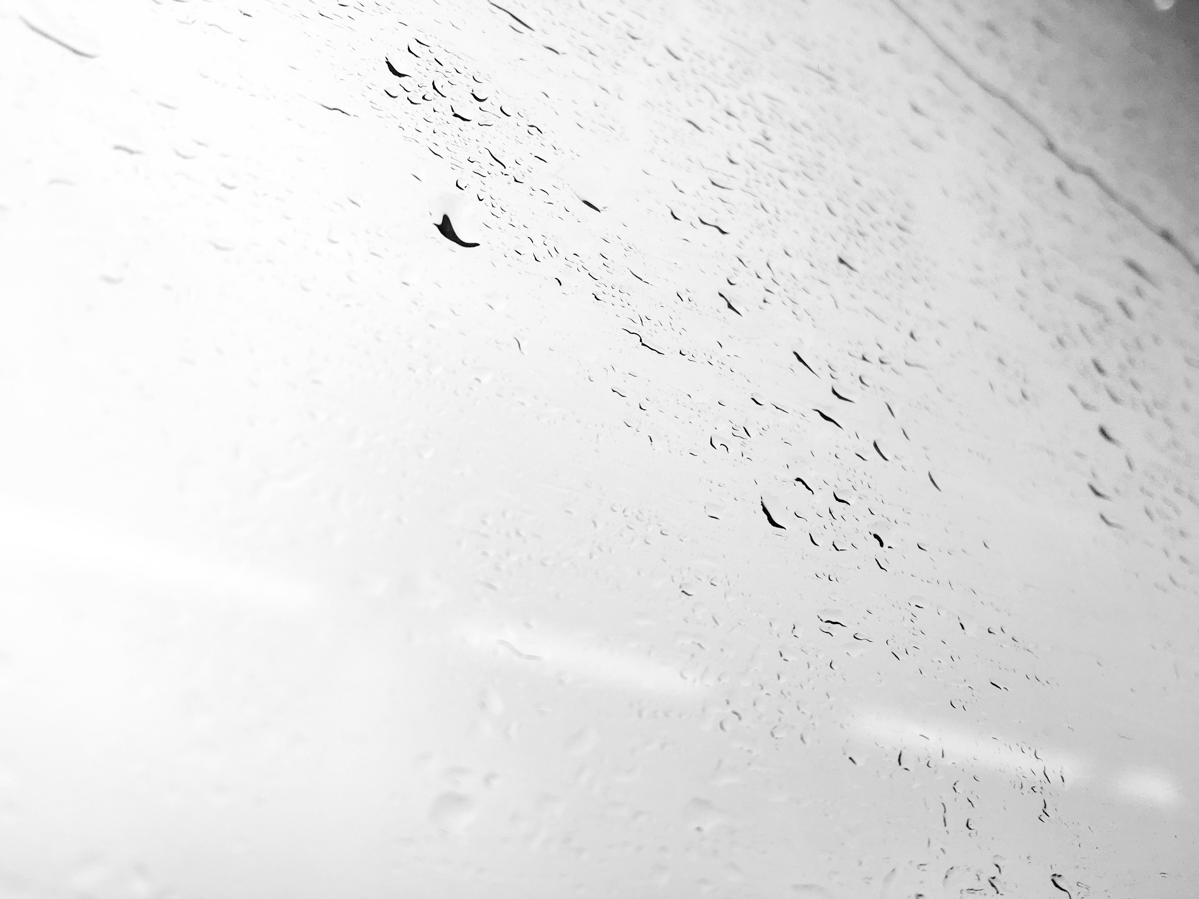 water rain ripple and drop 4k, HD Wallpaper