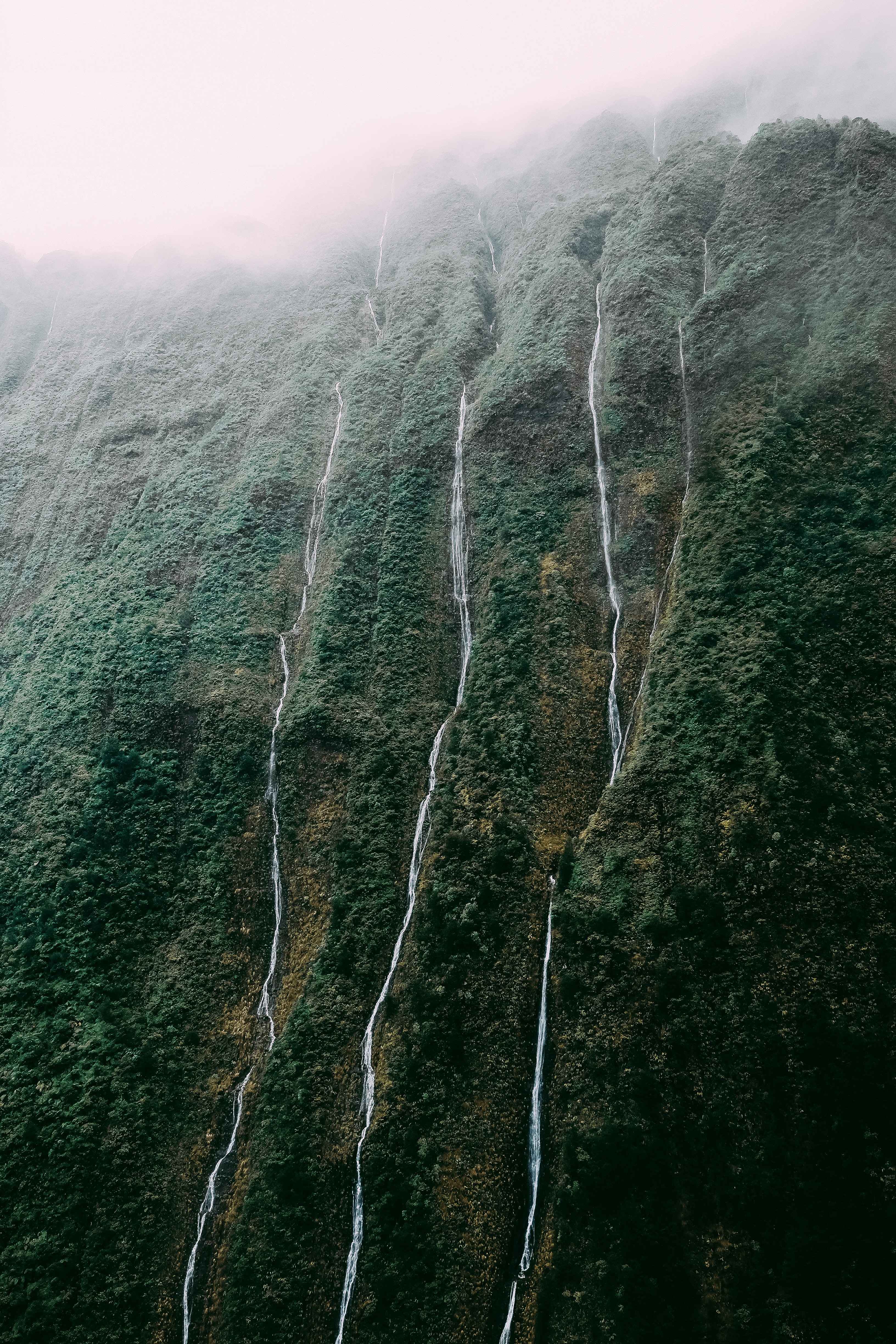 waterfall mountain cliff and tree hd, 4k, Phone HD Wallpaper