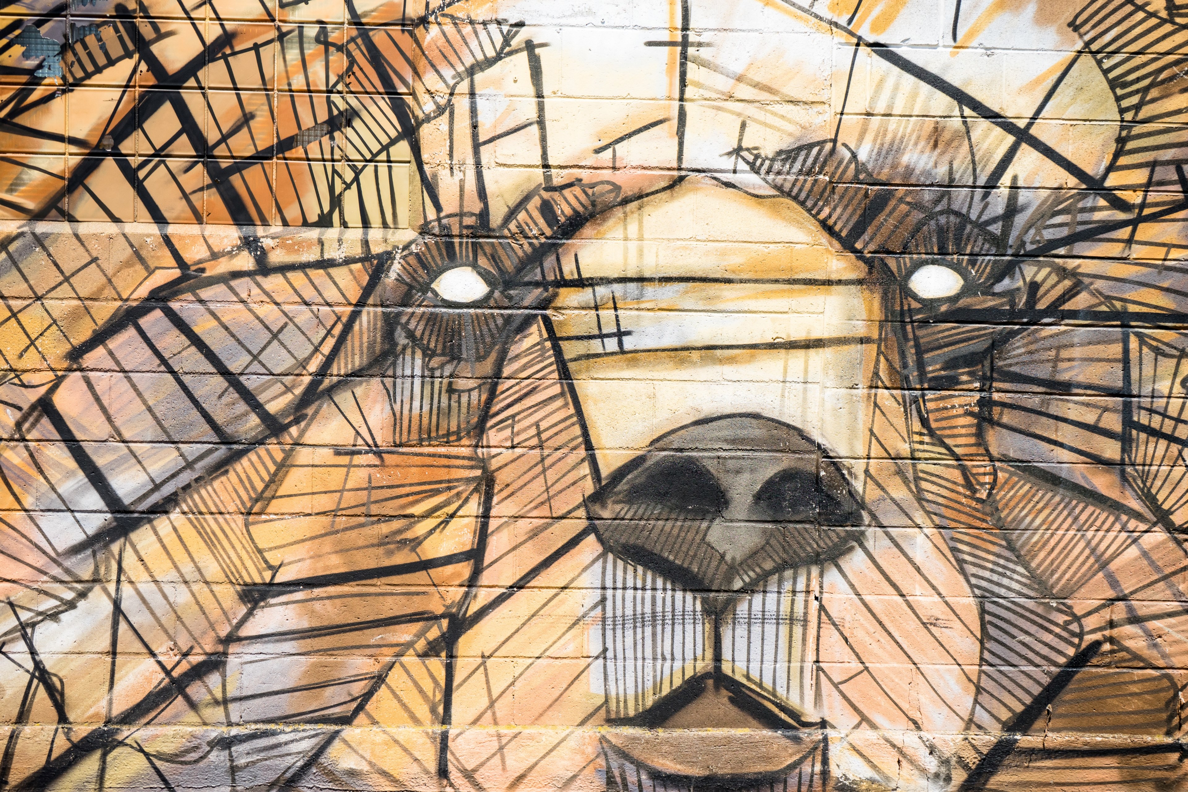 textured street art of a bears face, bear street art 4k, HD Wallpaper
