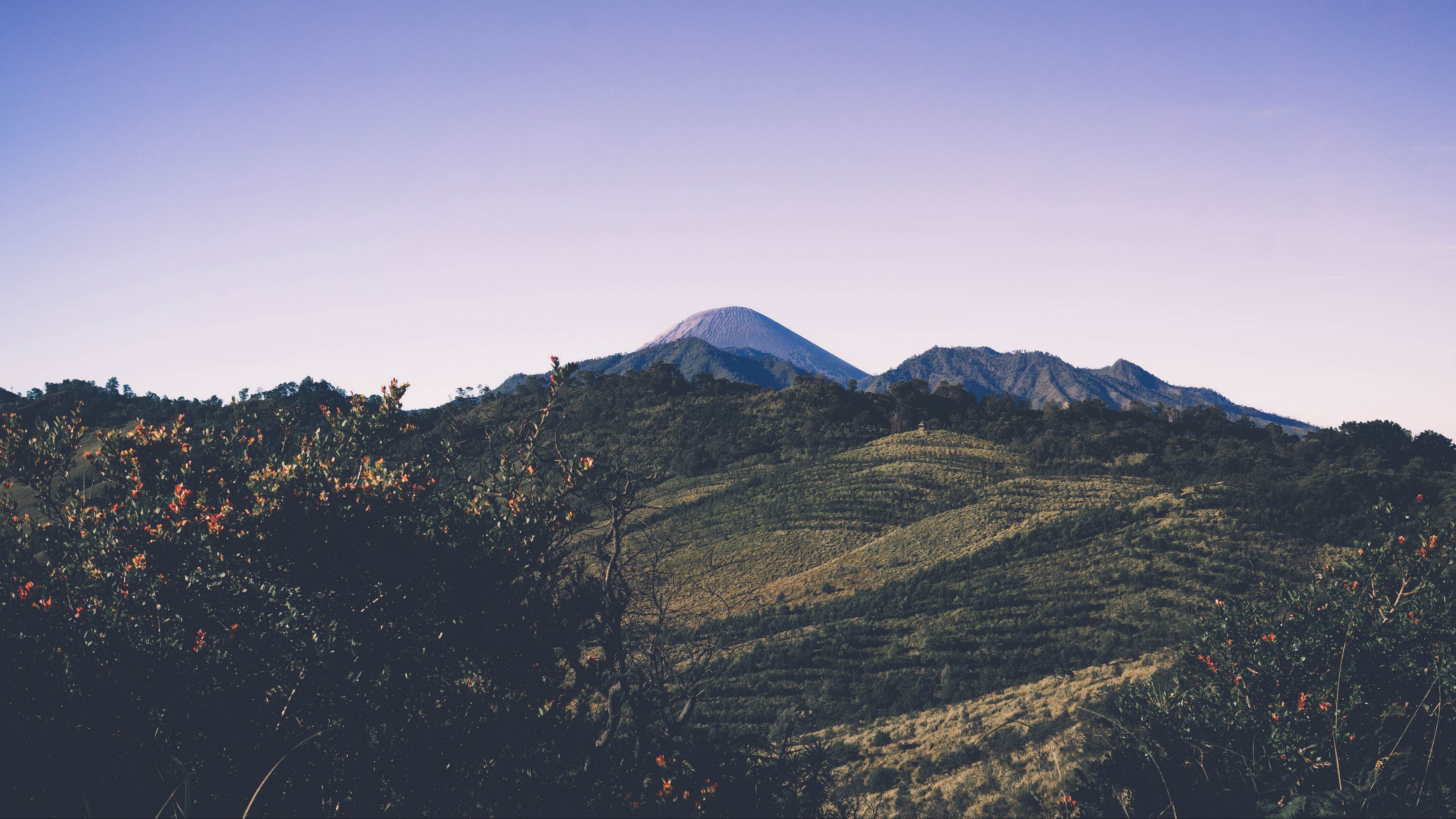 mountains, trees, grass, sky, 4k, HD Wallpaper