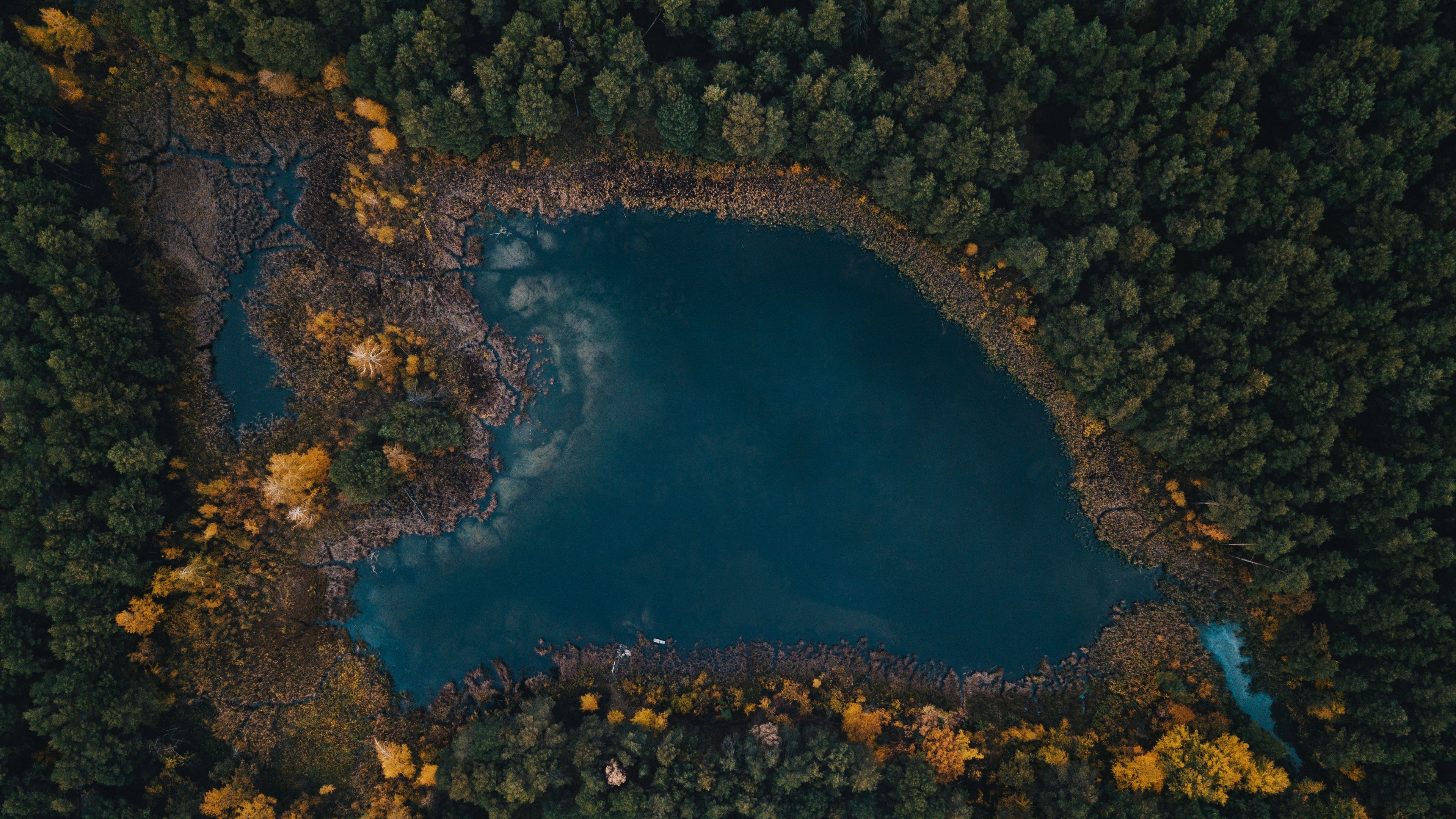 lake, trees, top view, 4k, HD Wallpaper