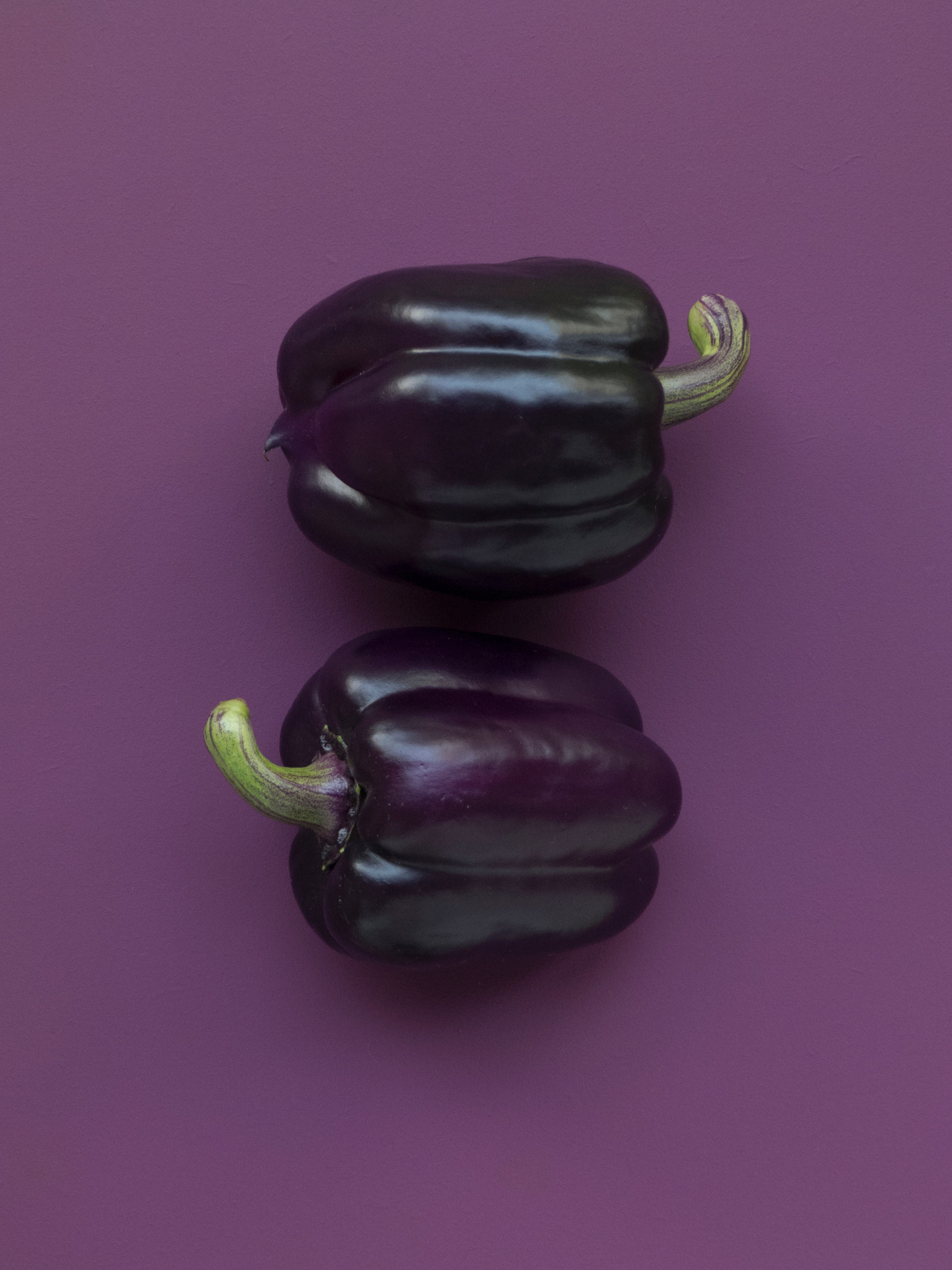 a purple pair 4k, Phone HD Wallpaper
