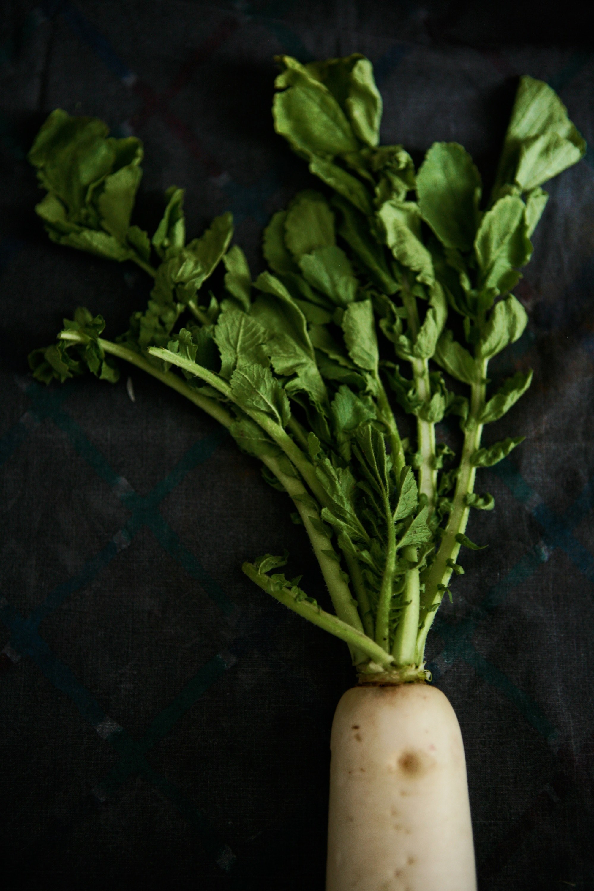 diet lunch closeup and black hd, 4k, Phone HD Wallpaper