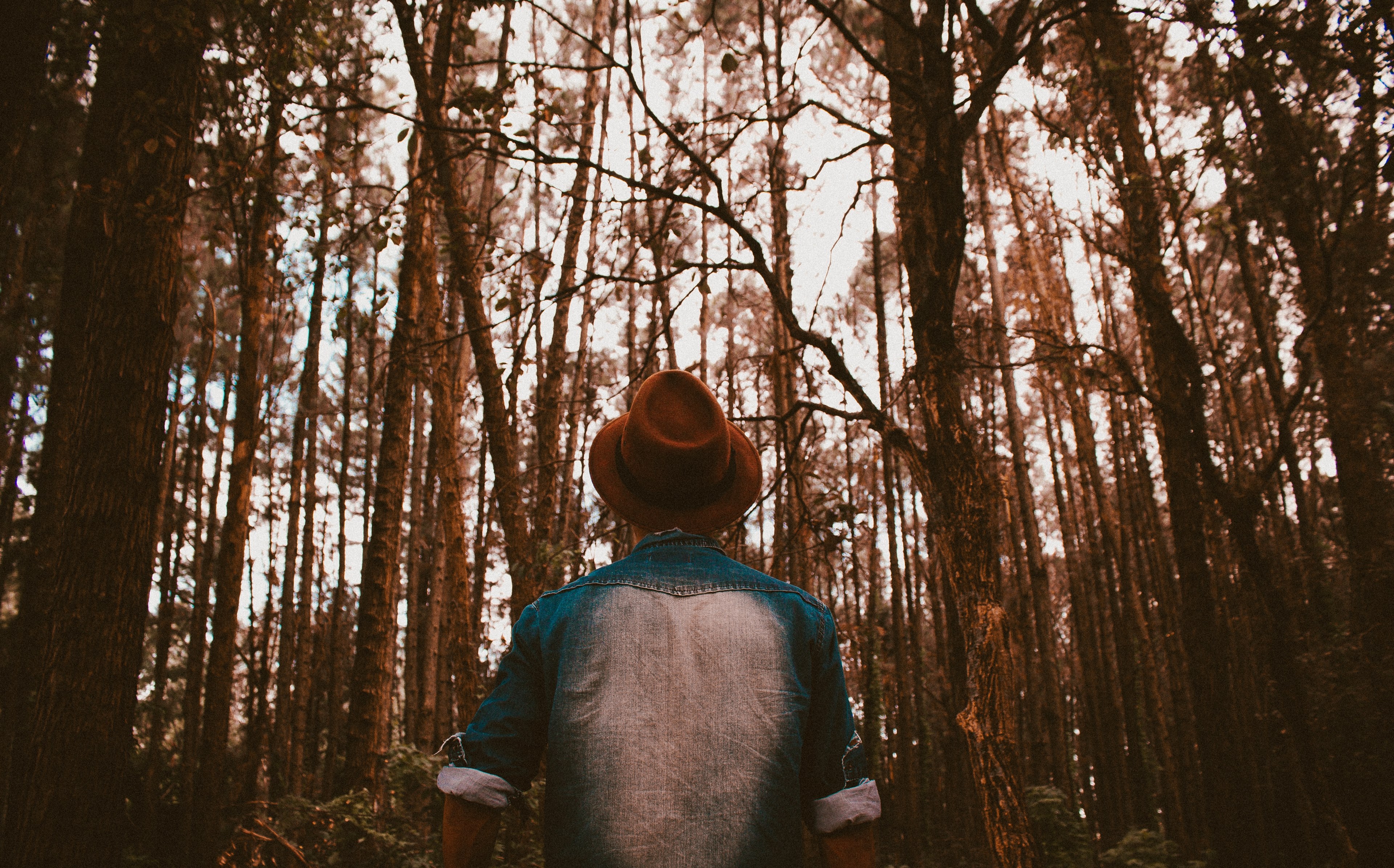 man male guy and hat 4k, HD Wallpaper