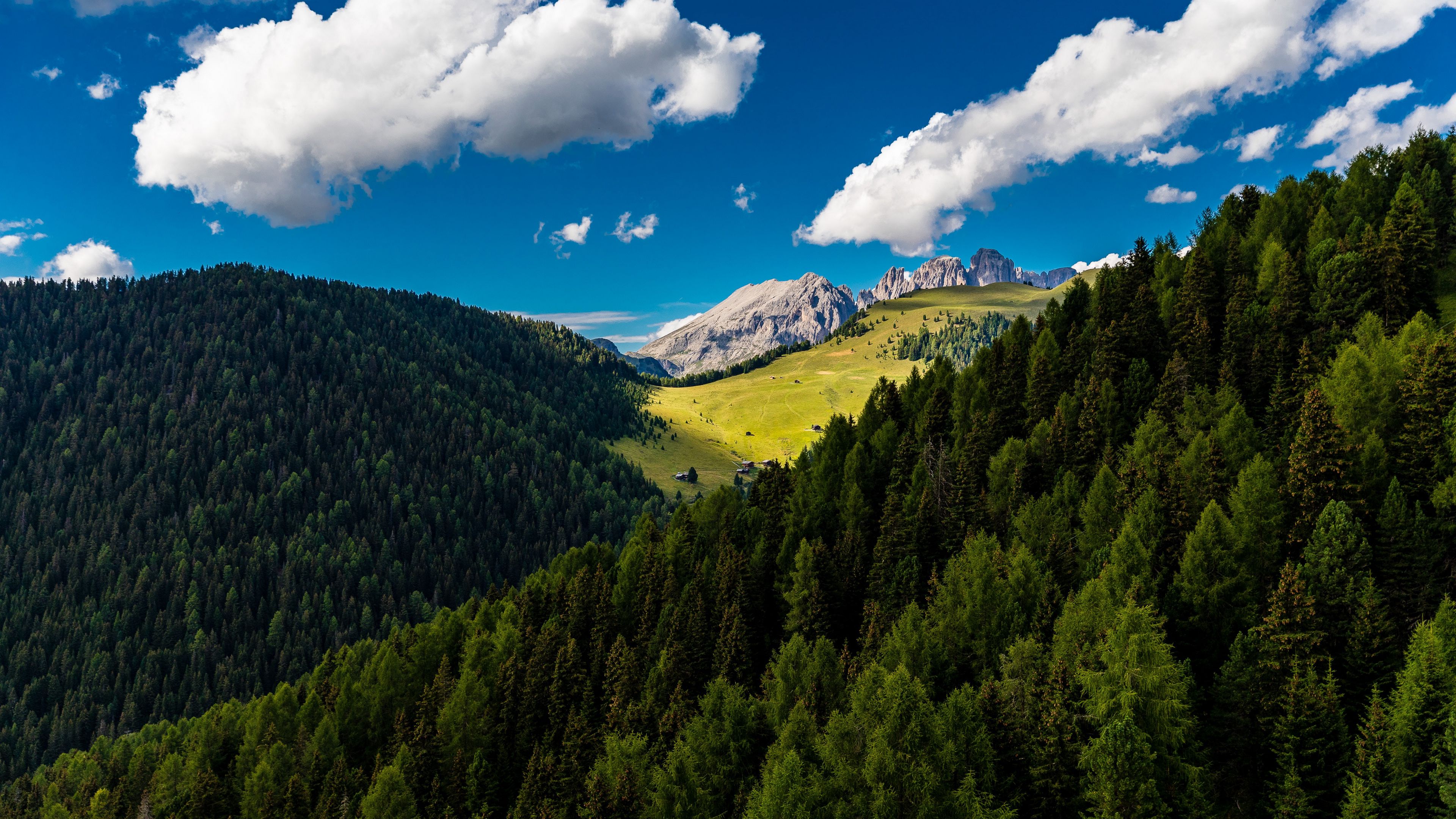 trees, mountains, clouds, summer, 4k, HD Wallpaper