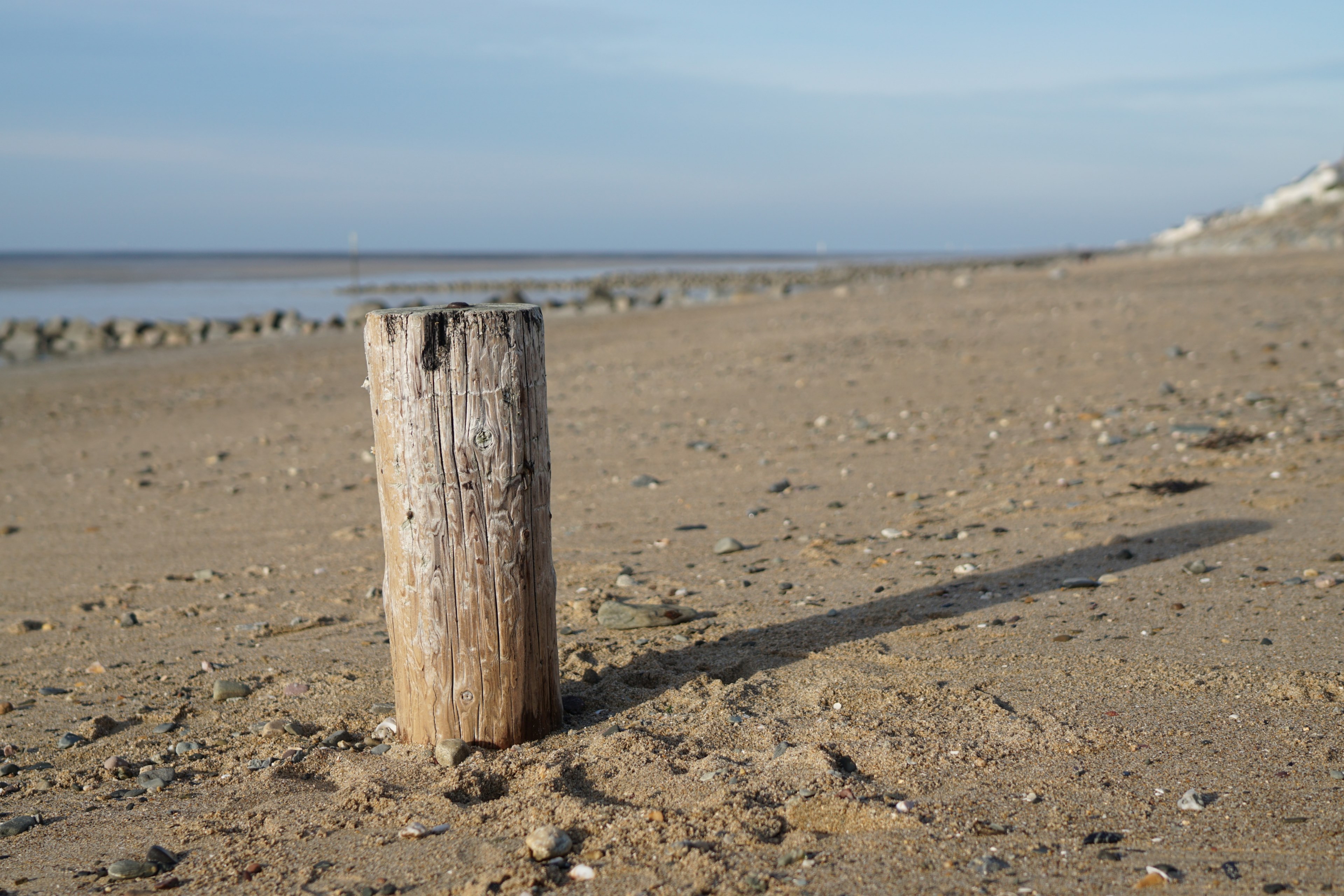 house seaside sea and woodland 4k, HD Wallpaper