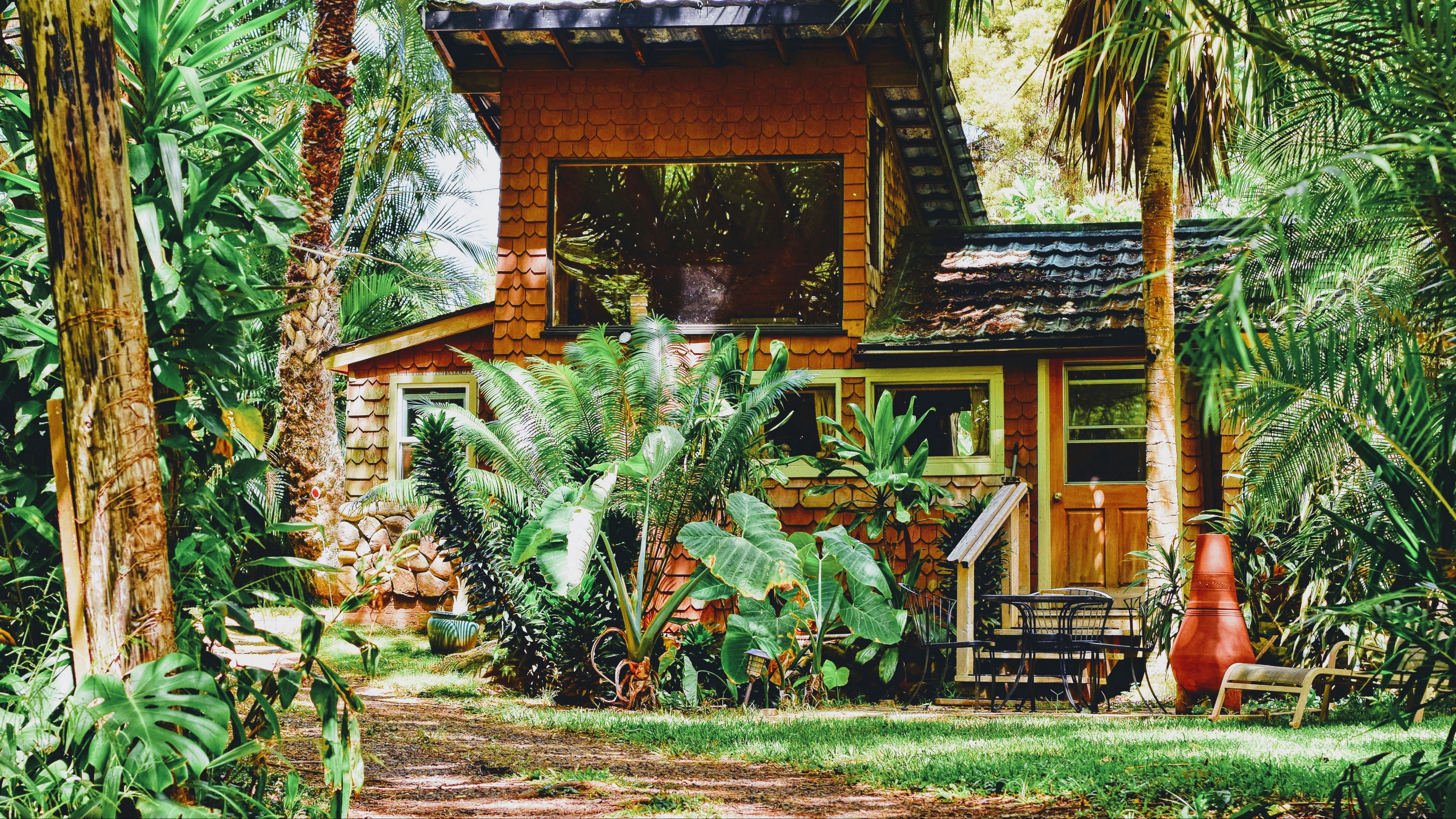 house, palm tree, plants, sunlight, 4k, HD Wallpaper