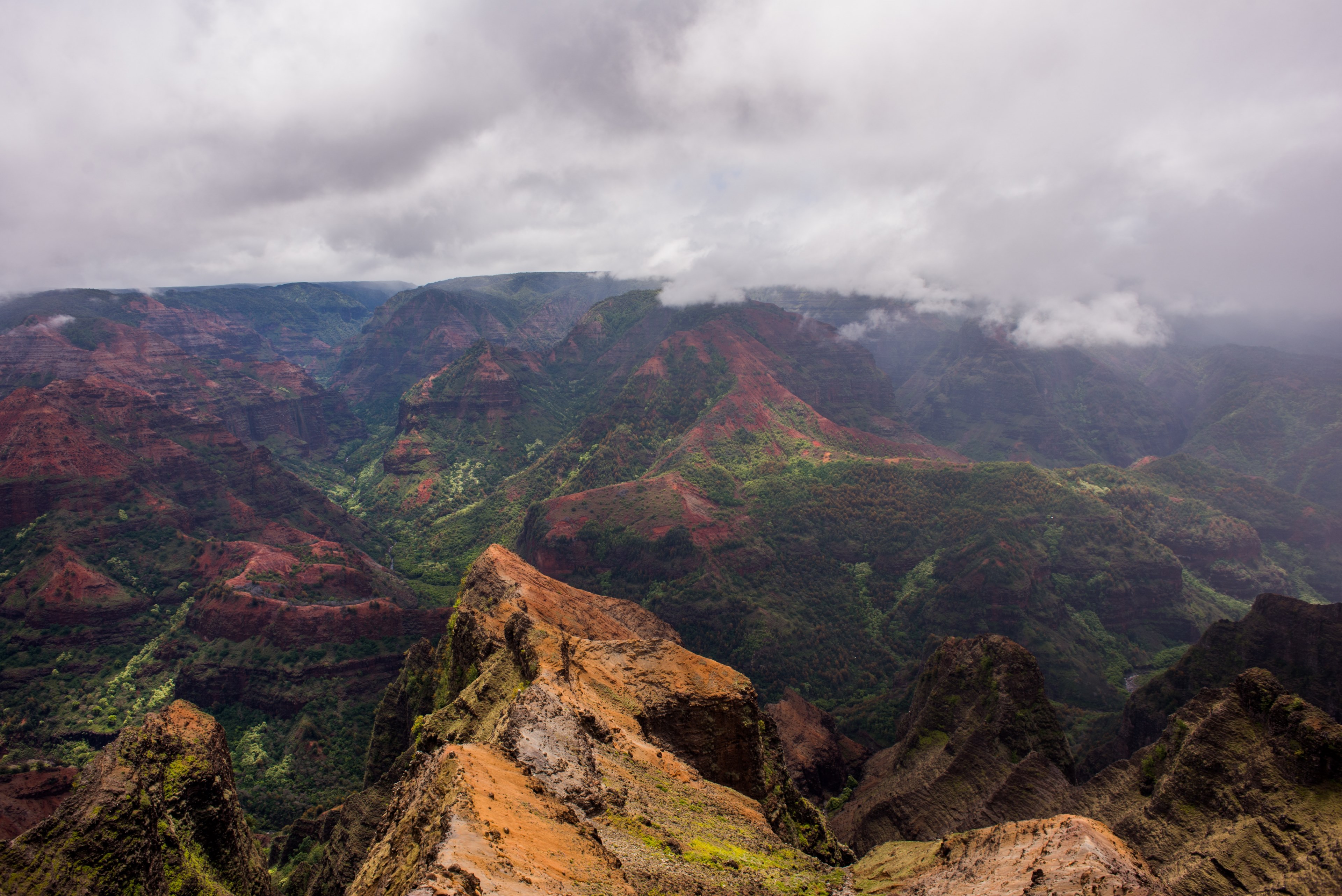mossy mountain peaks on an overcast day in waimea canyon drive, fog over waimea canyon drive 4k, HD Wallpaper