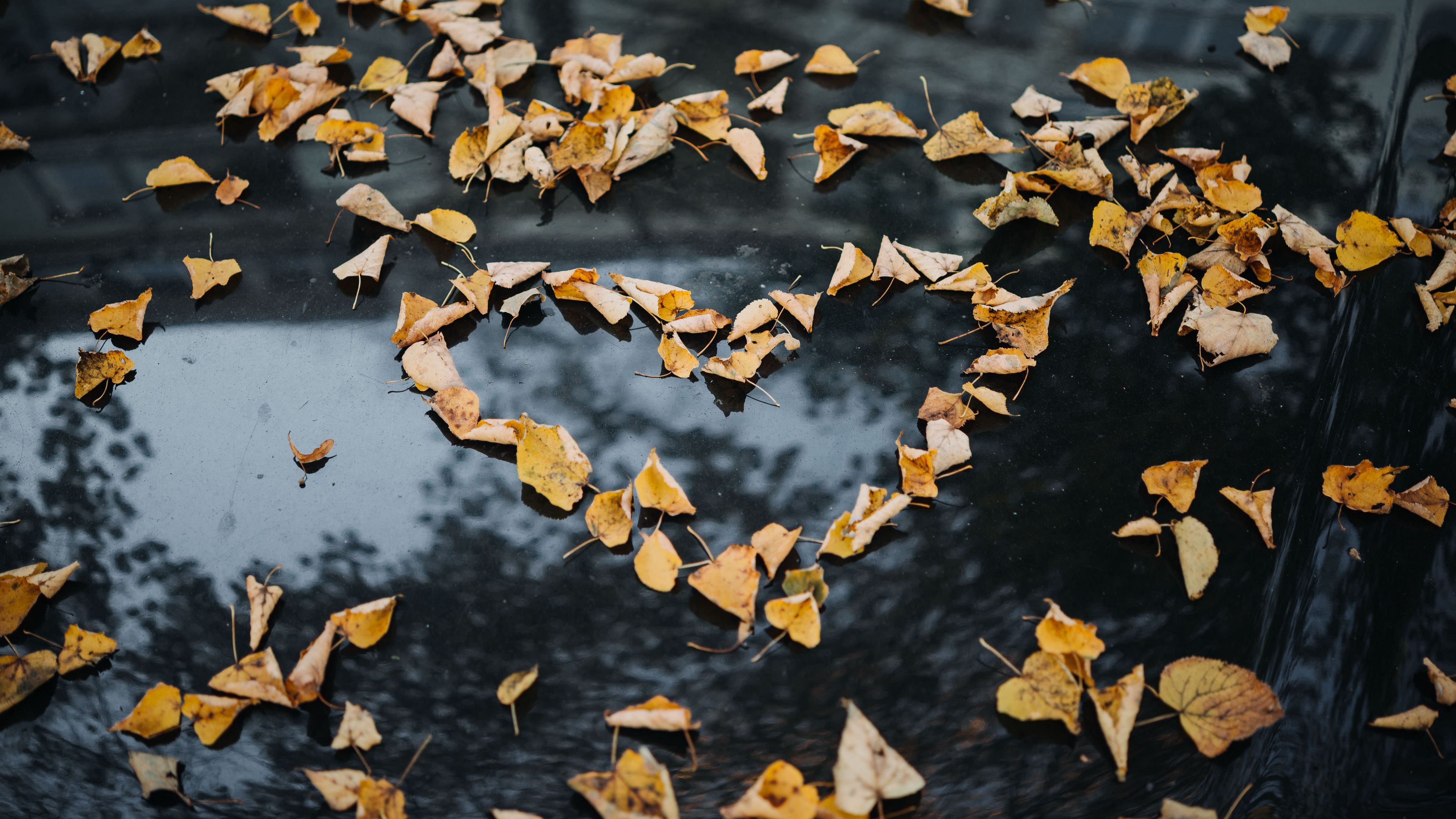 foliage, autumn, heart, dry, fallen, 4k, HD Wallpaper