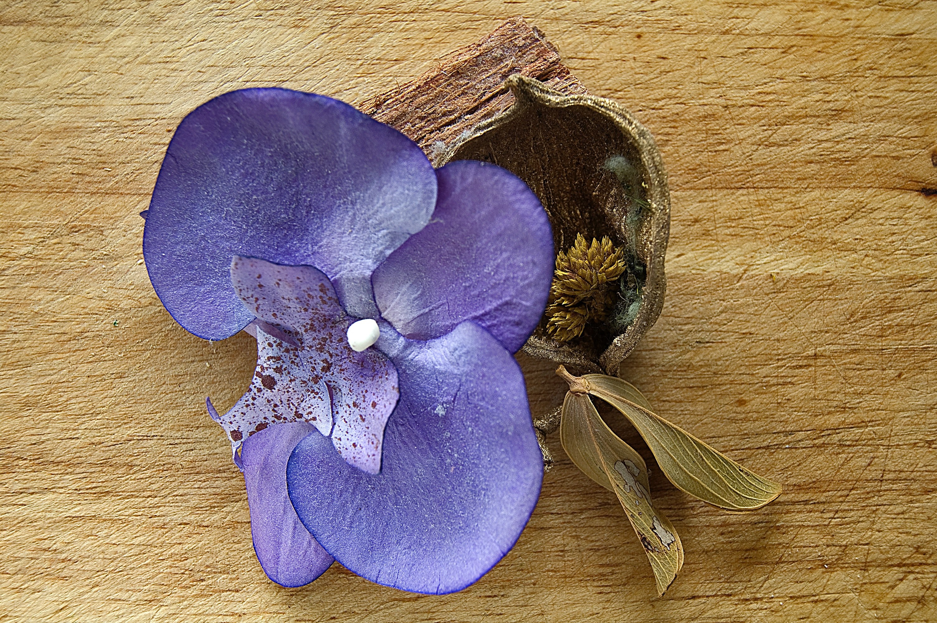 board grainy board purple and purple flower 4k, HD Wallpaper