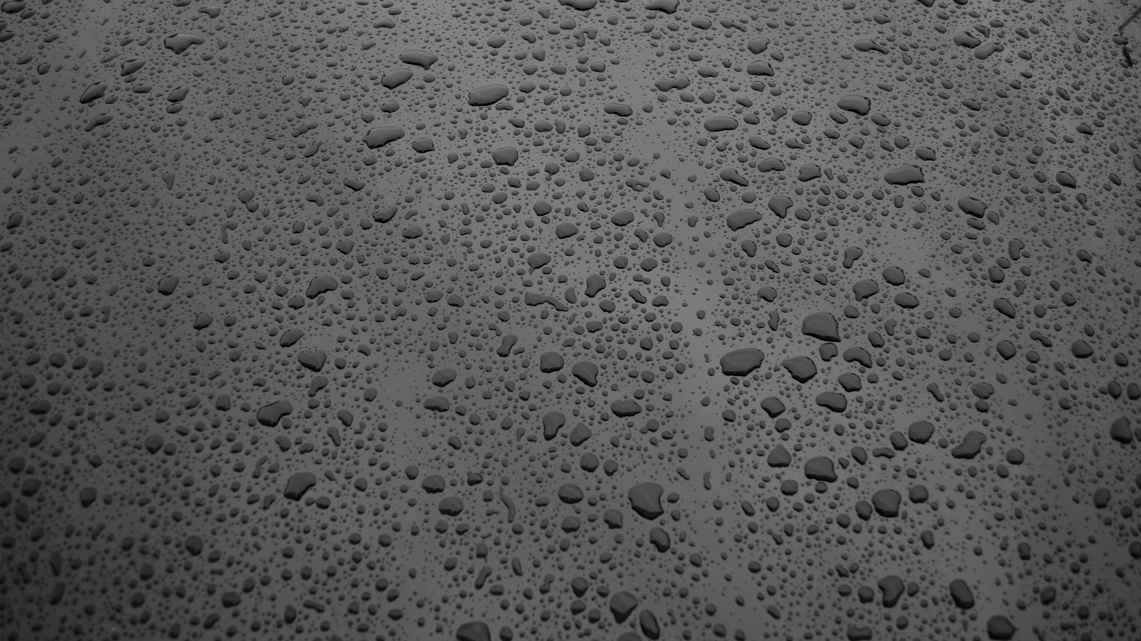 surface, drops, bw, 4k, HD Wallpaper