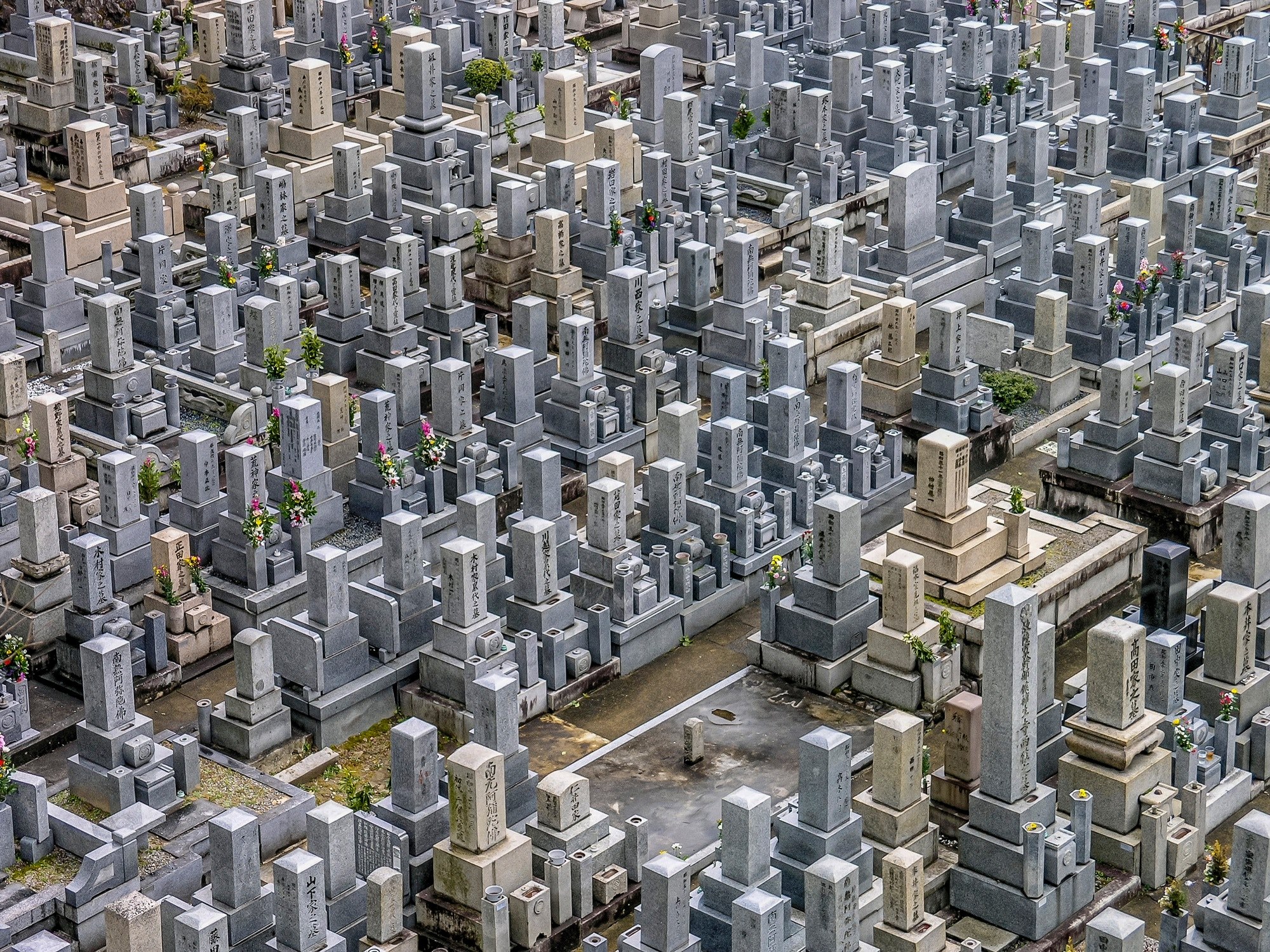 cemetery kyoto japan and building 4k, HD Wallpaper