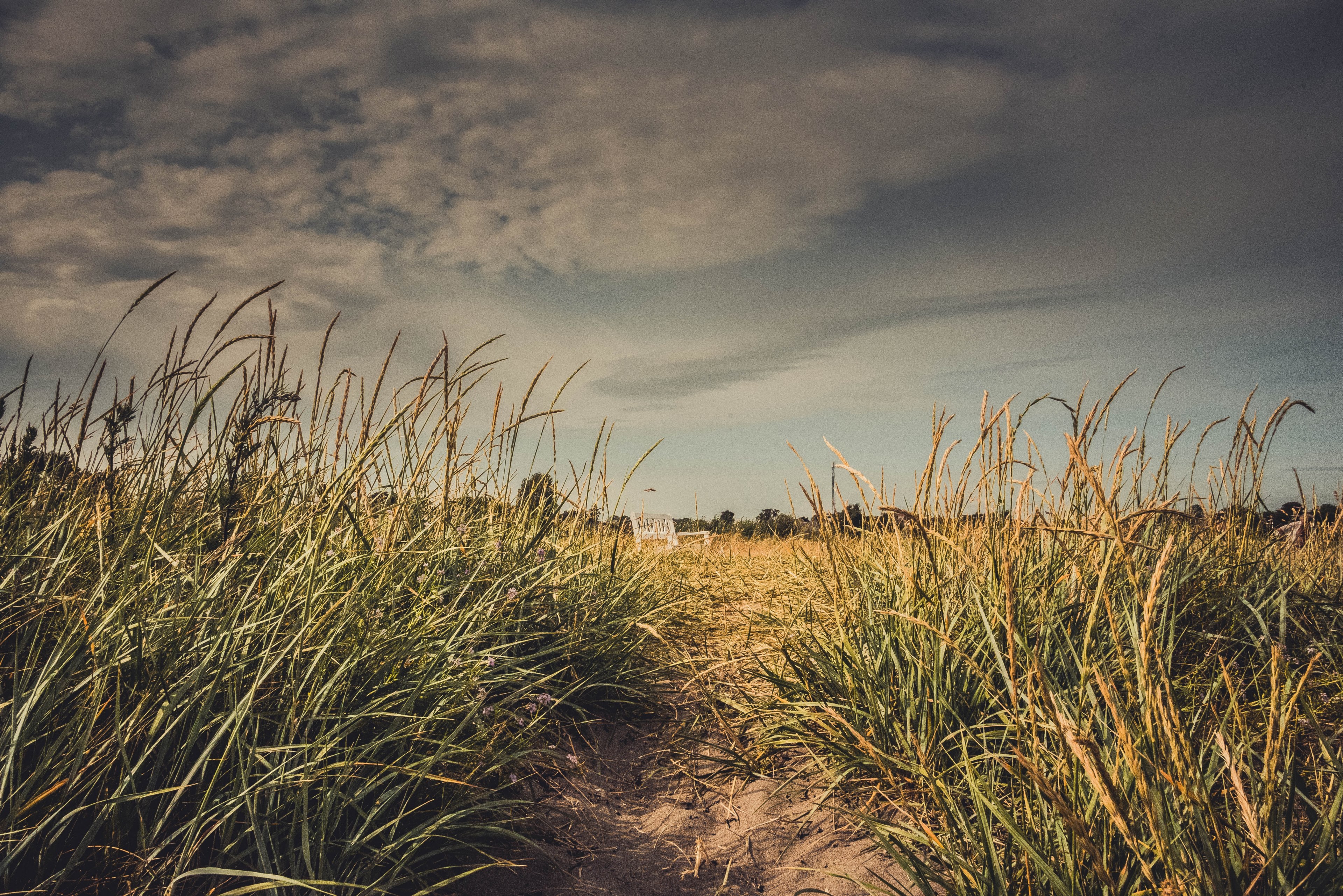 outdoor cloud field and baking 4k, HD Wallpaper