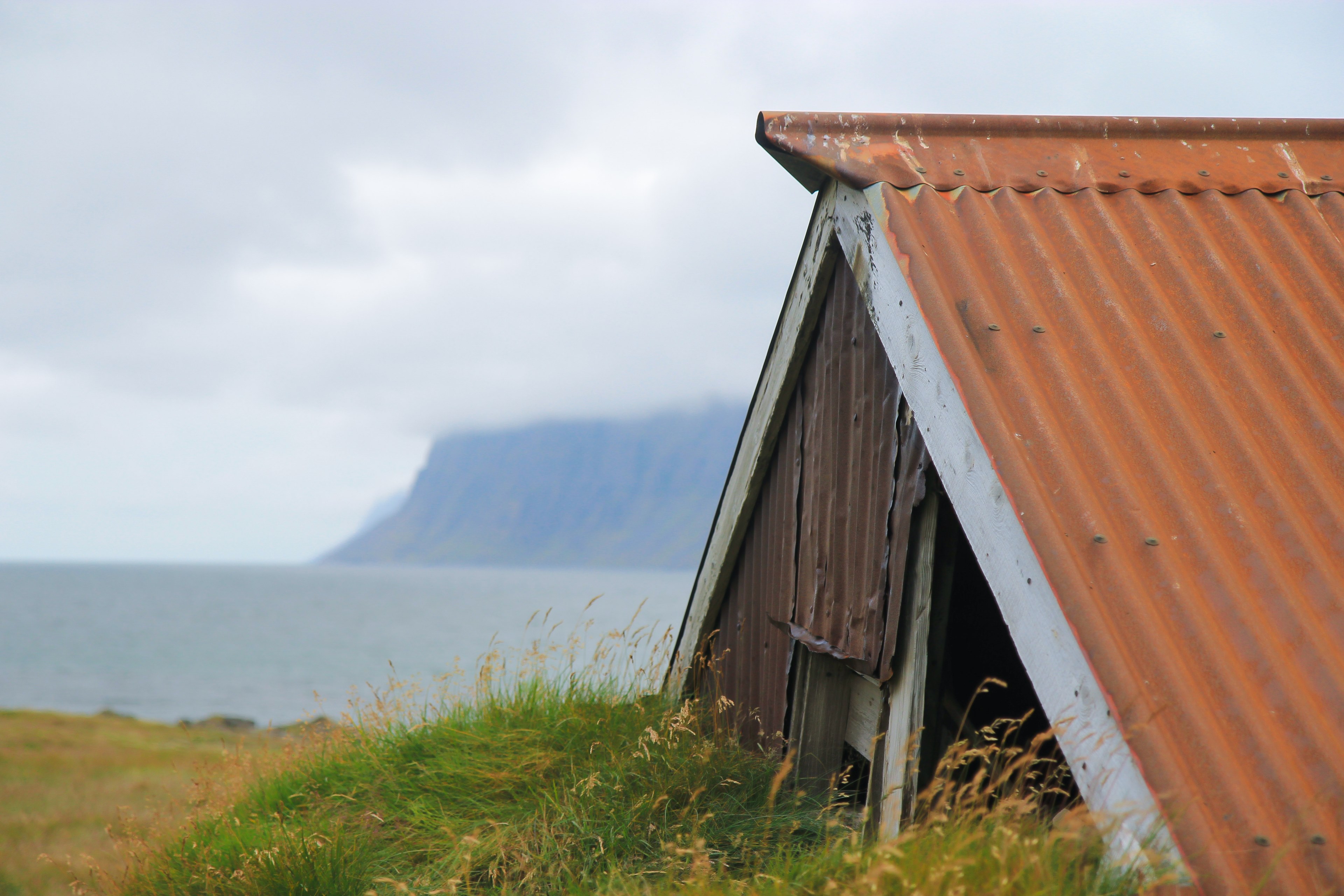 grass building roof and shed 4k, HD Wallpaper