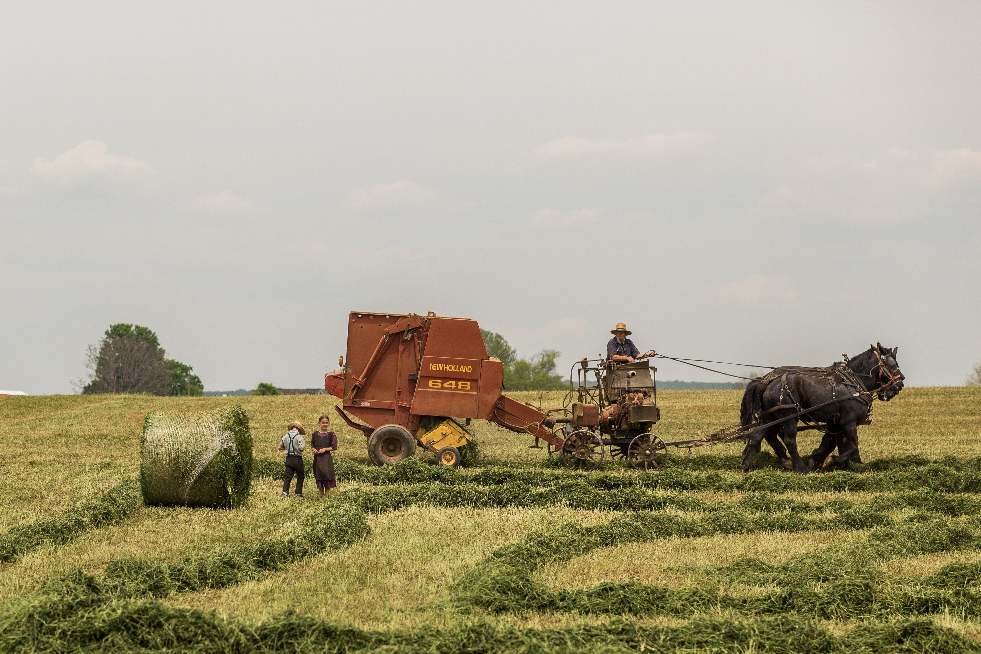 two children stand next to a man operating a horse draw baling machine, rural family in the field 4k, HD Wallpaper