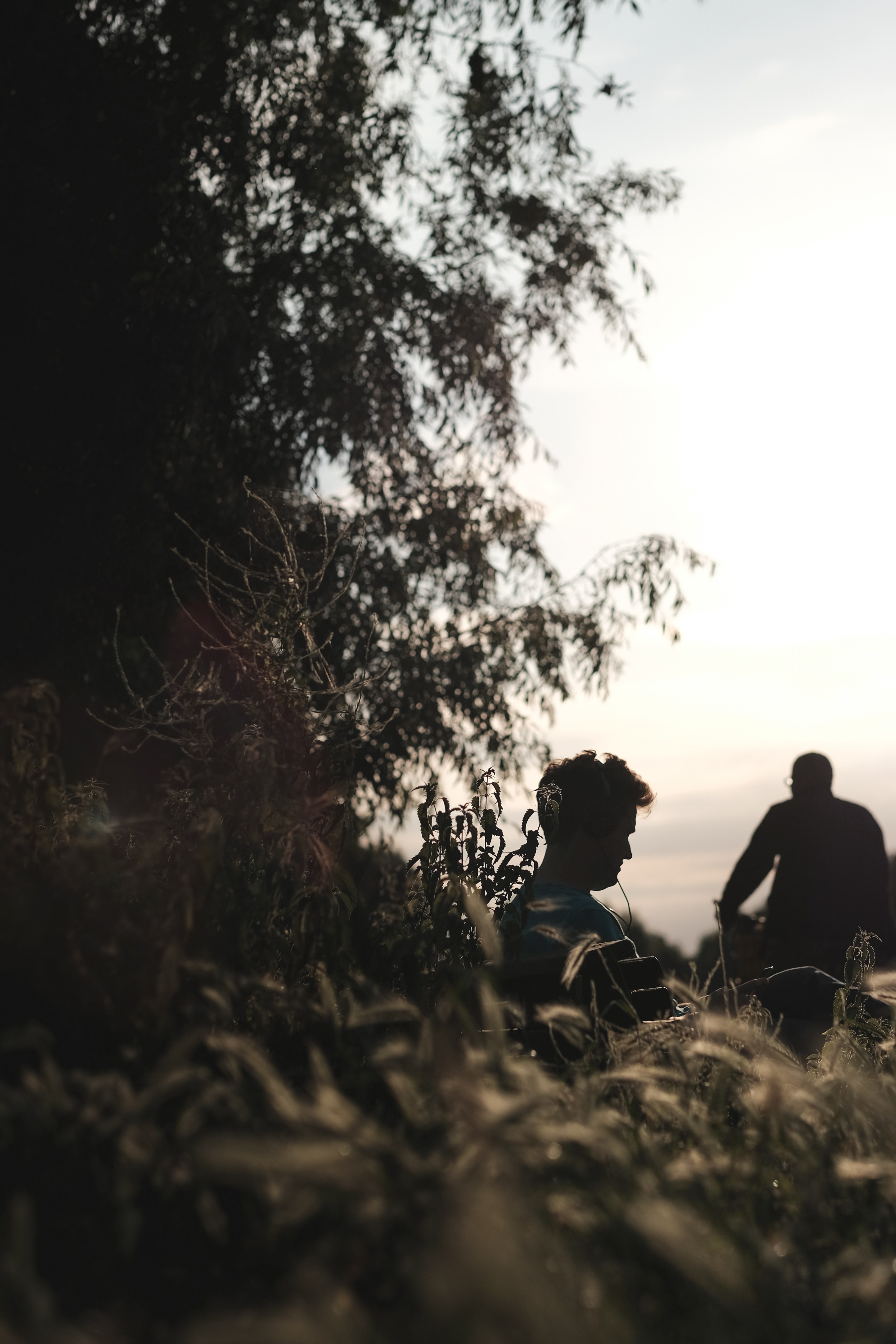 two men in silhouette sit in a field underneath a tree against a peaceful sunny sky, men underneath tree 4k, Phone HD Wallpaper