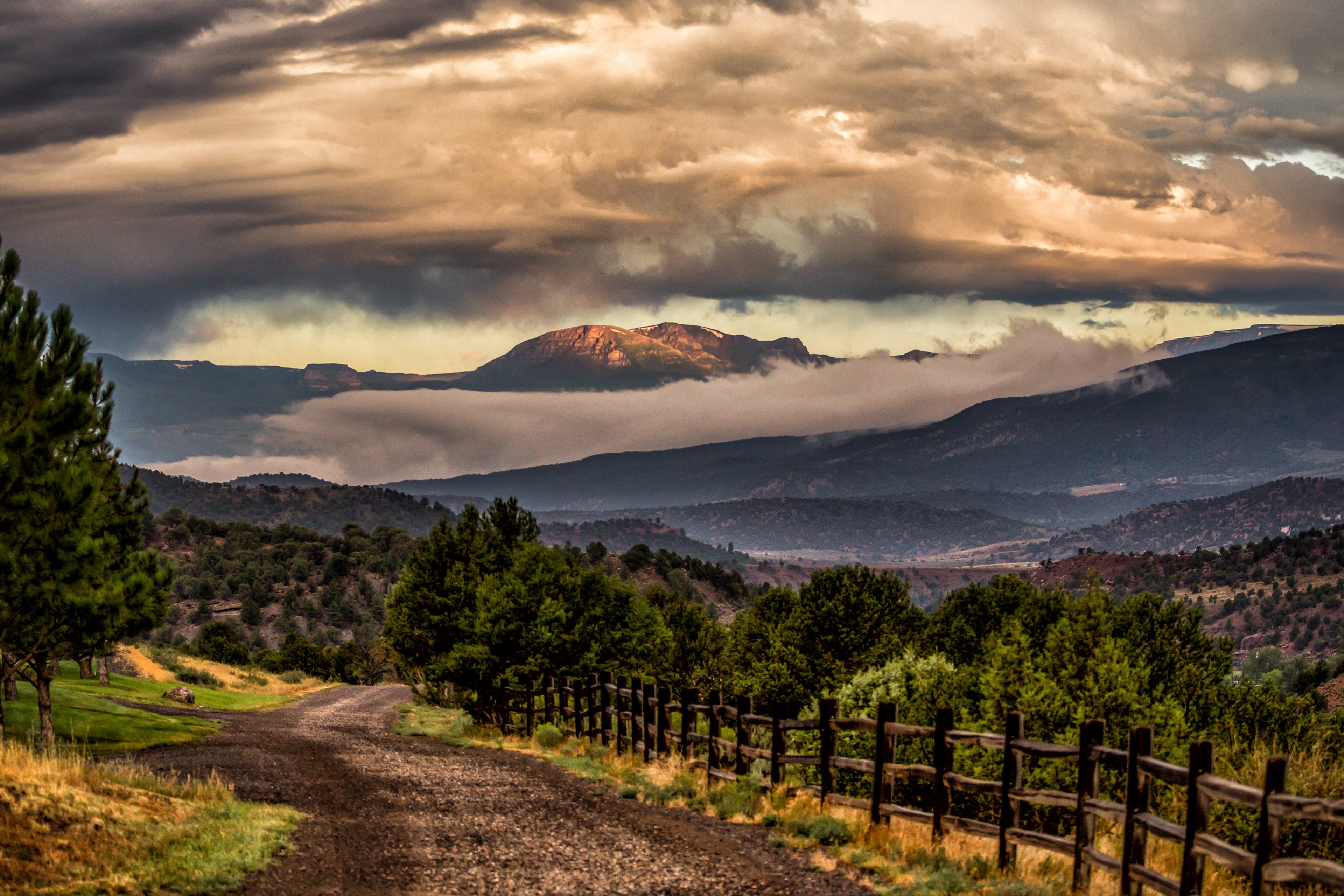 best morning ever 4k, HD Wallpaper
