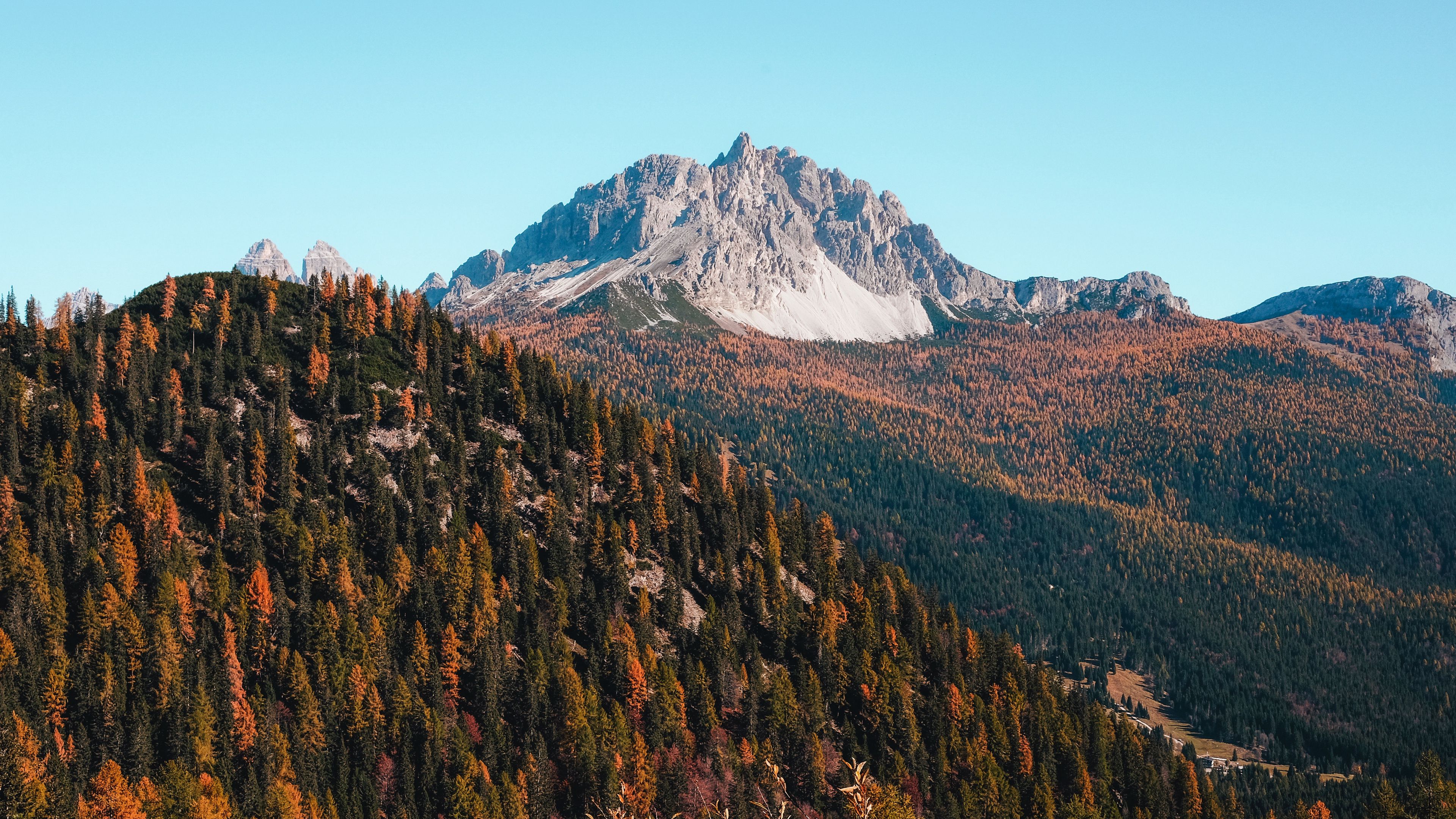 mountains, trees, autumn, 4k, HD Wallpaper