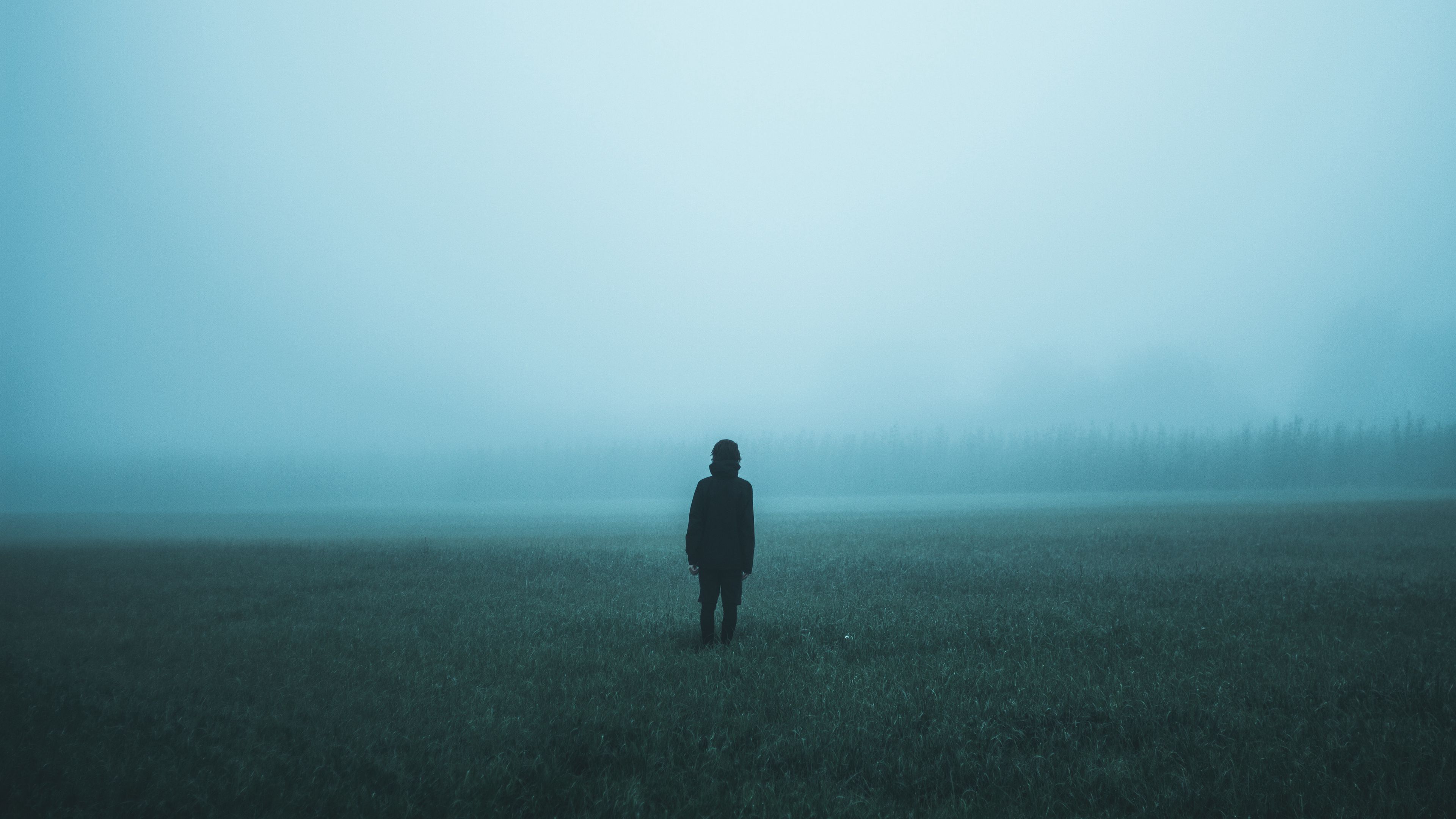 field, fog, man, loneliness, 4k, HD Wallpaper