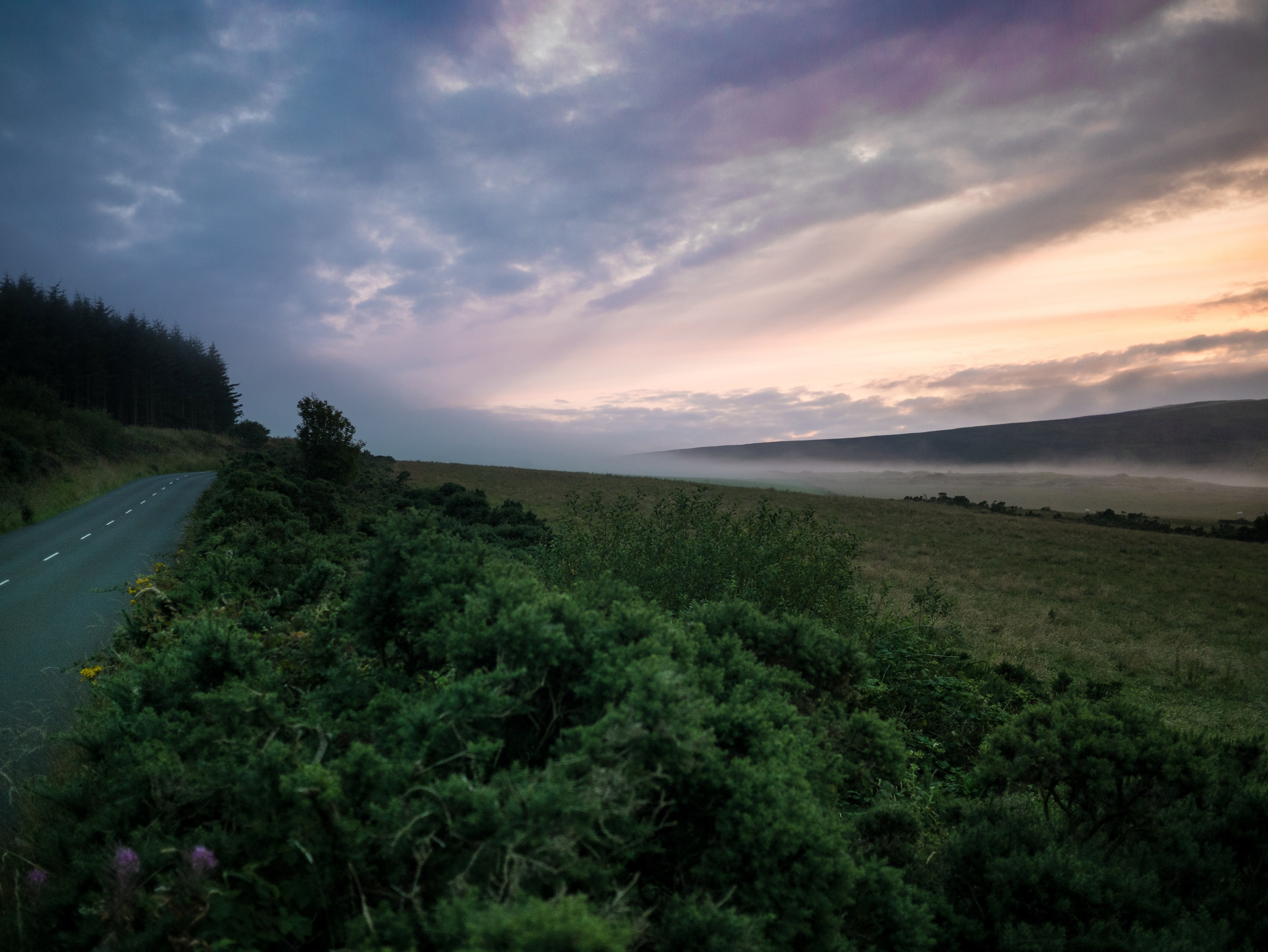 roadside cloudy highway and wood 4k, HD Wallpaper
