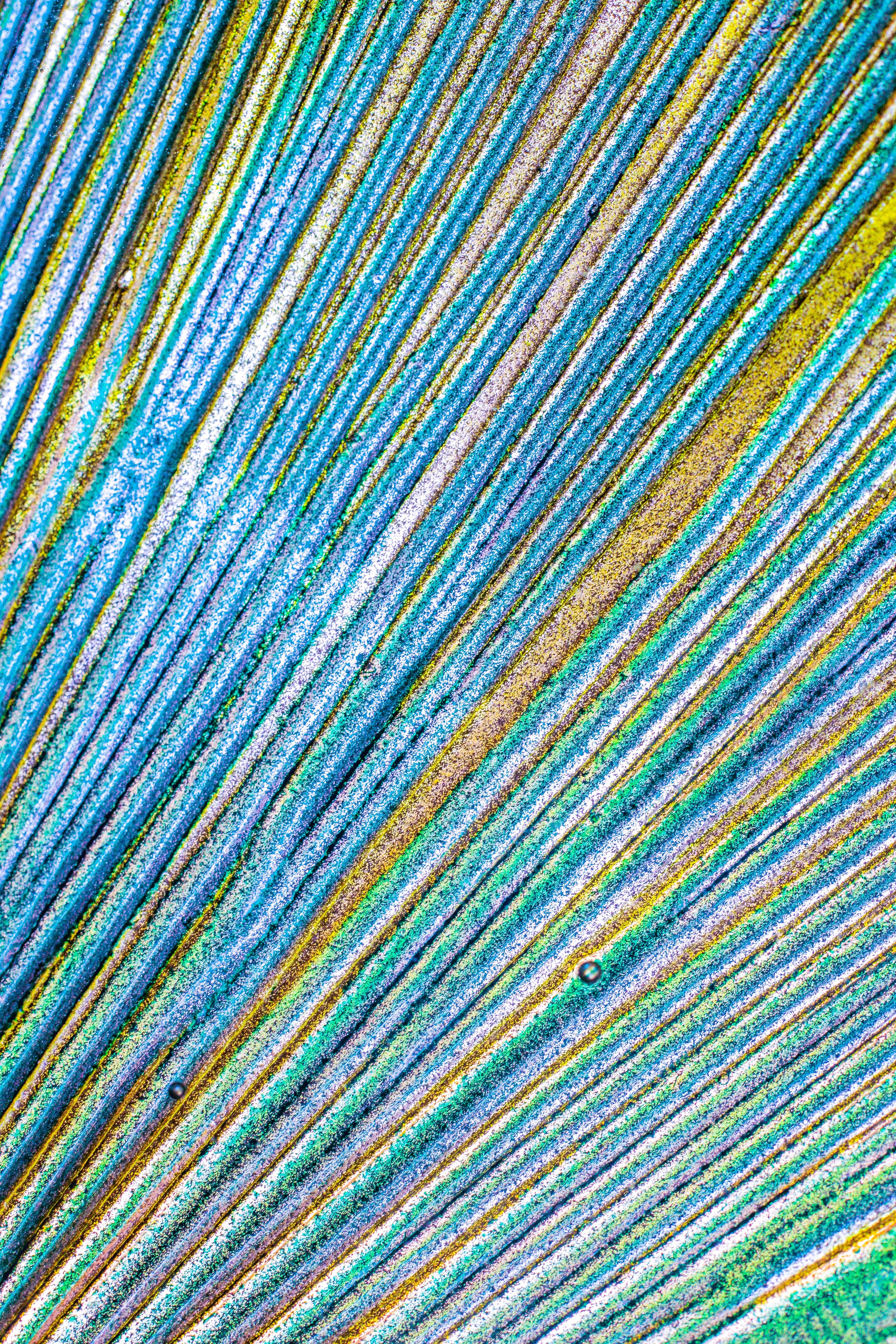 stained glass photography macro shot and macro hd, 4k, Phone HD Wallpaper