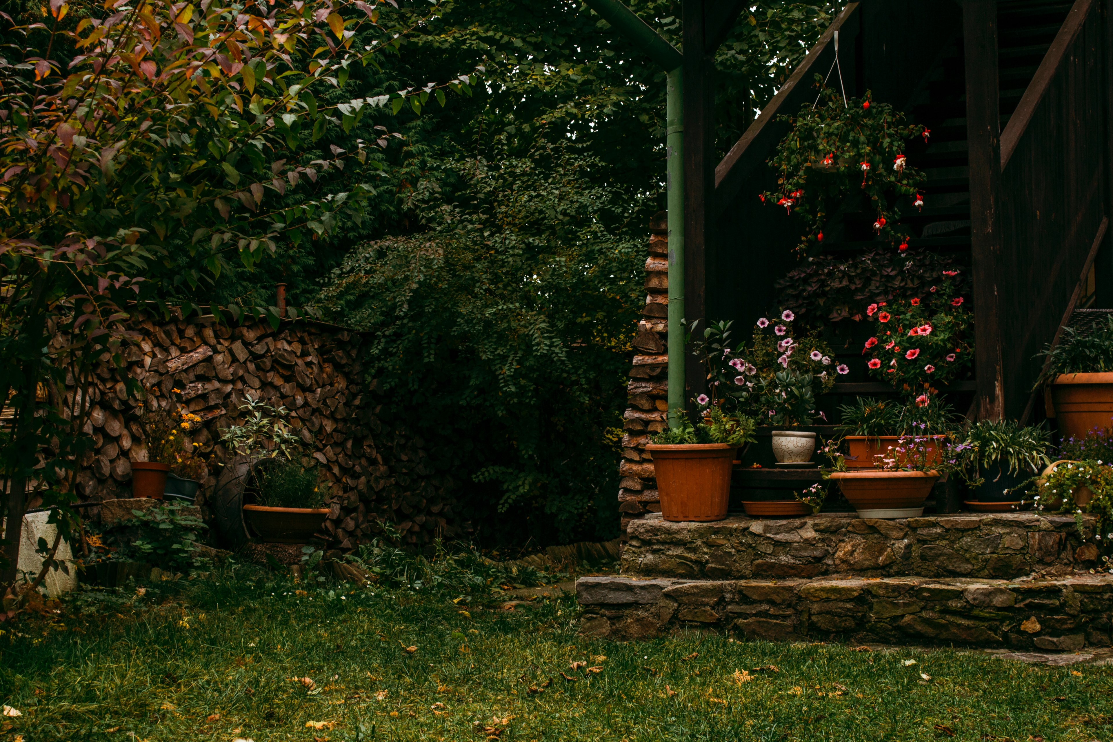 yard flower plant and gardening 4k, HD Wallpaper