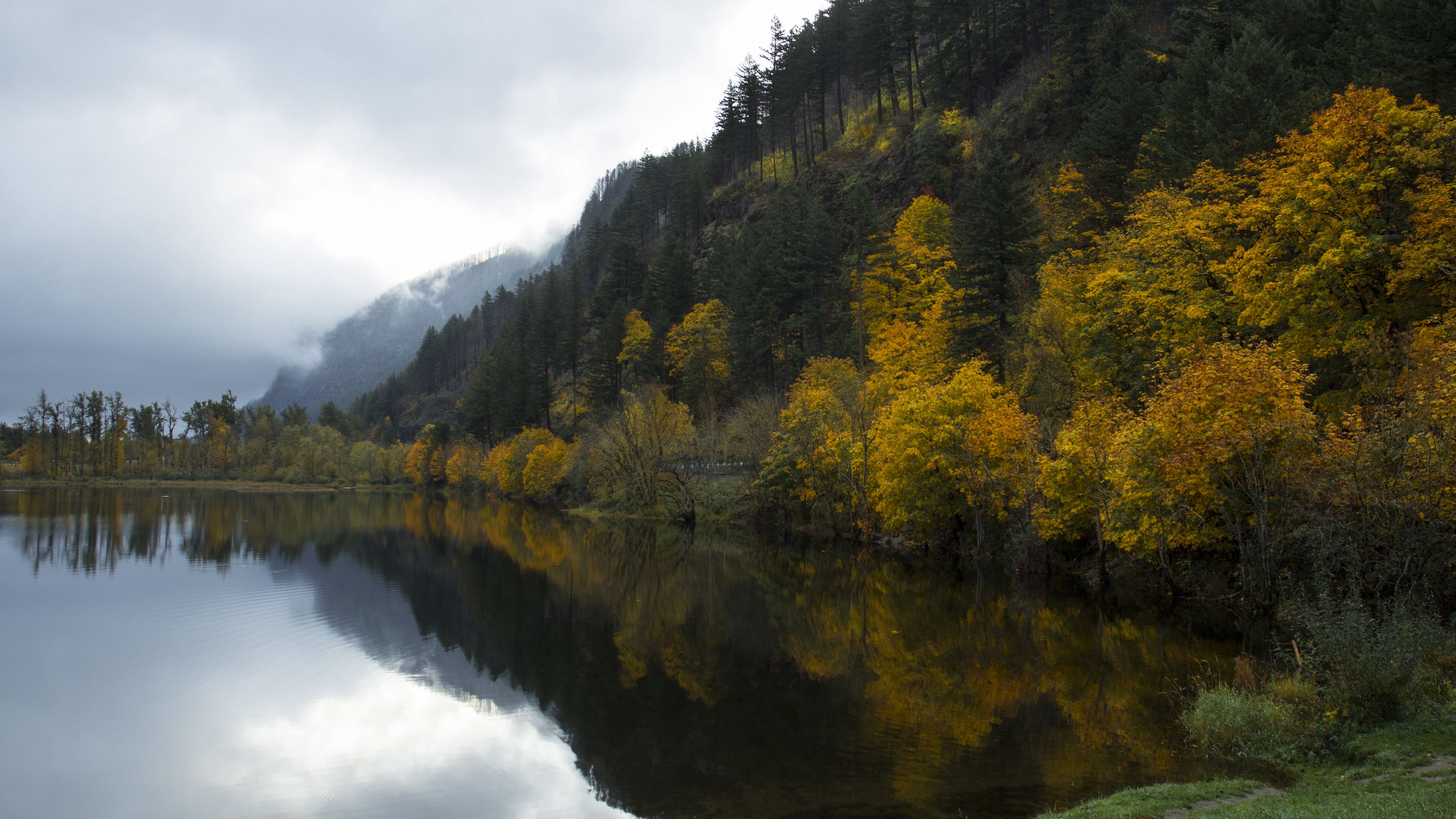 forest, lake, grass, trees, 4k, HD Wallpaper