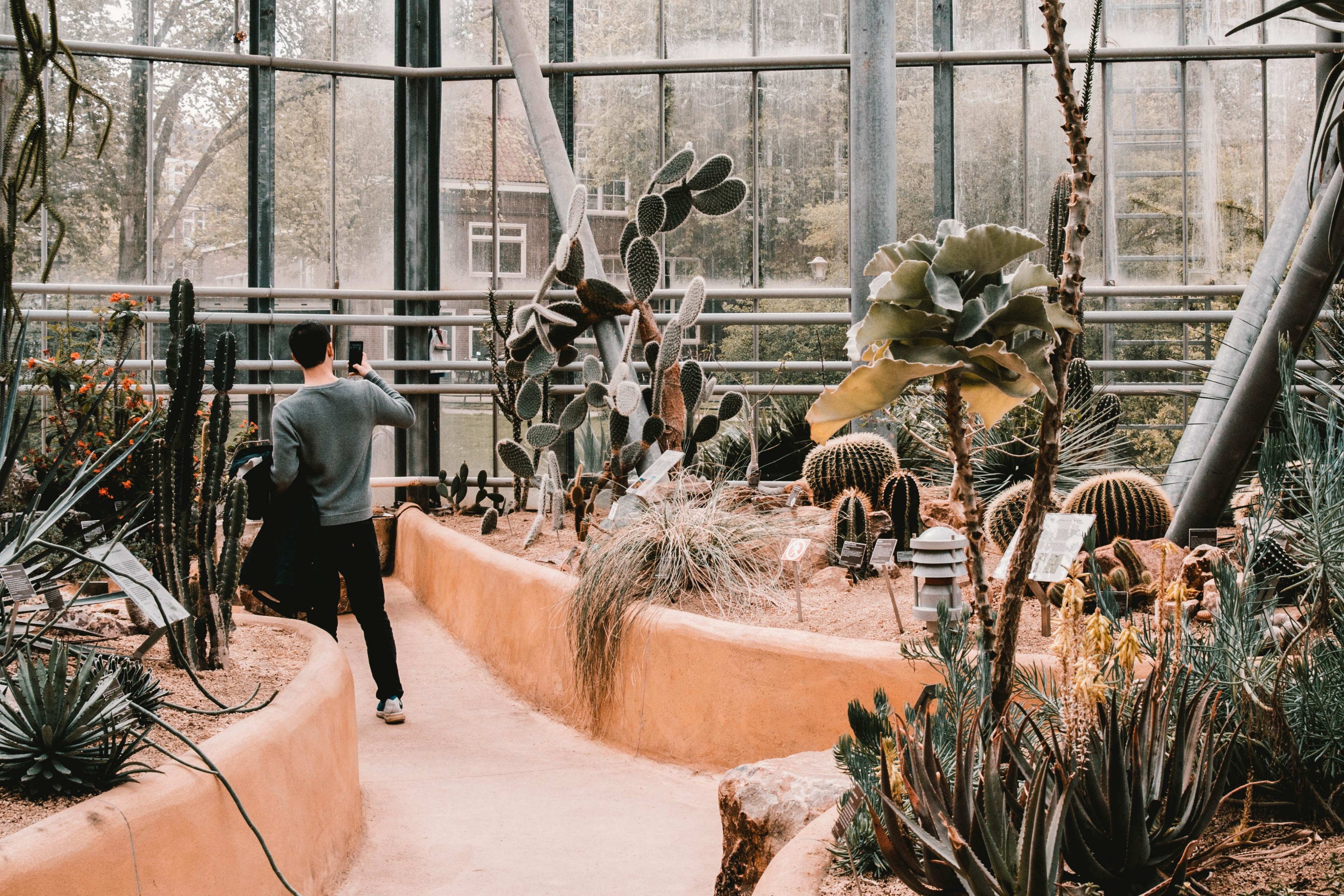 botanical garden 4k, HD Wallpaper