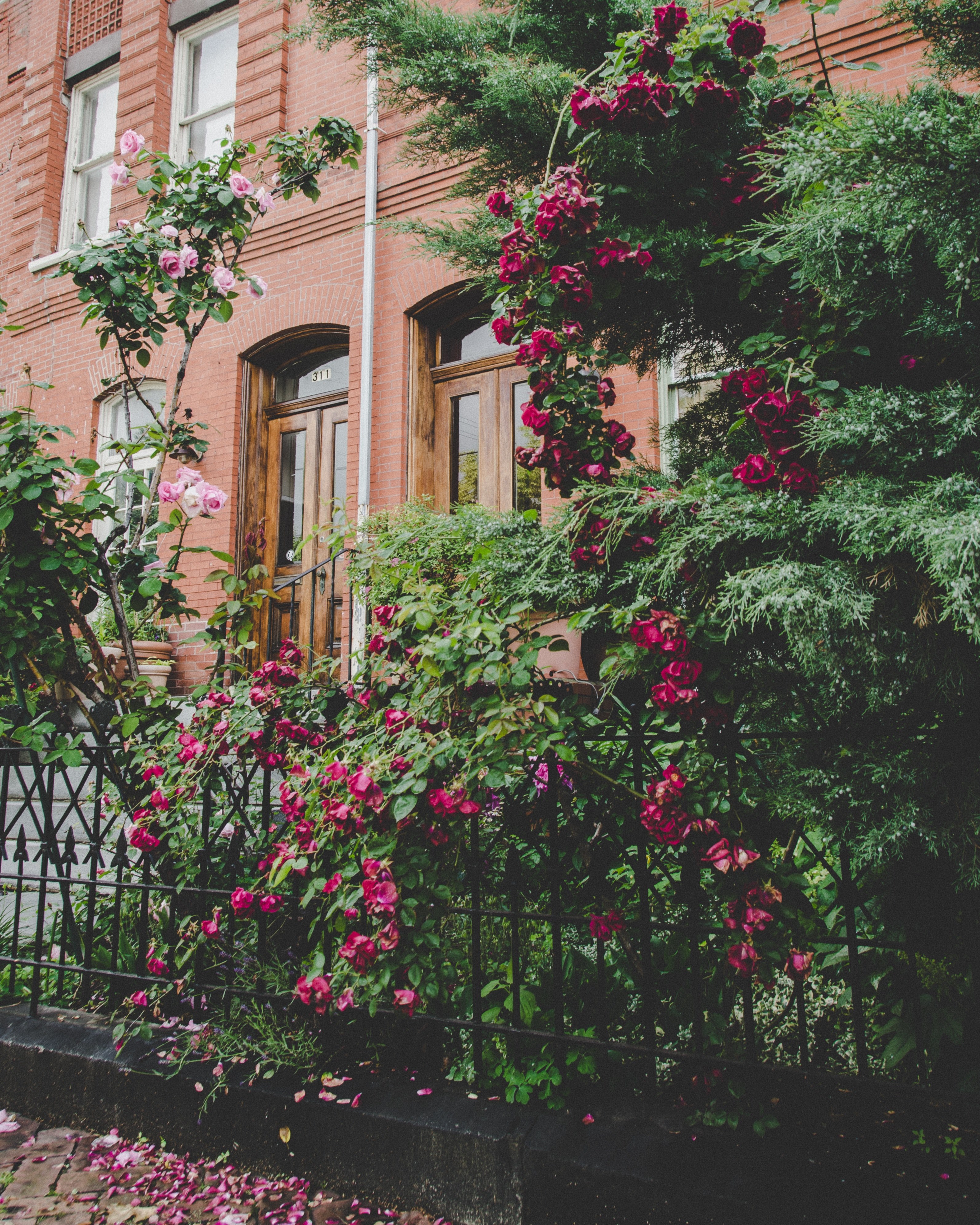 architecture brownstone apartment and yard hd, 4k, Phone HD Wallpaper