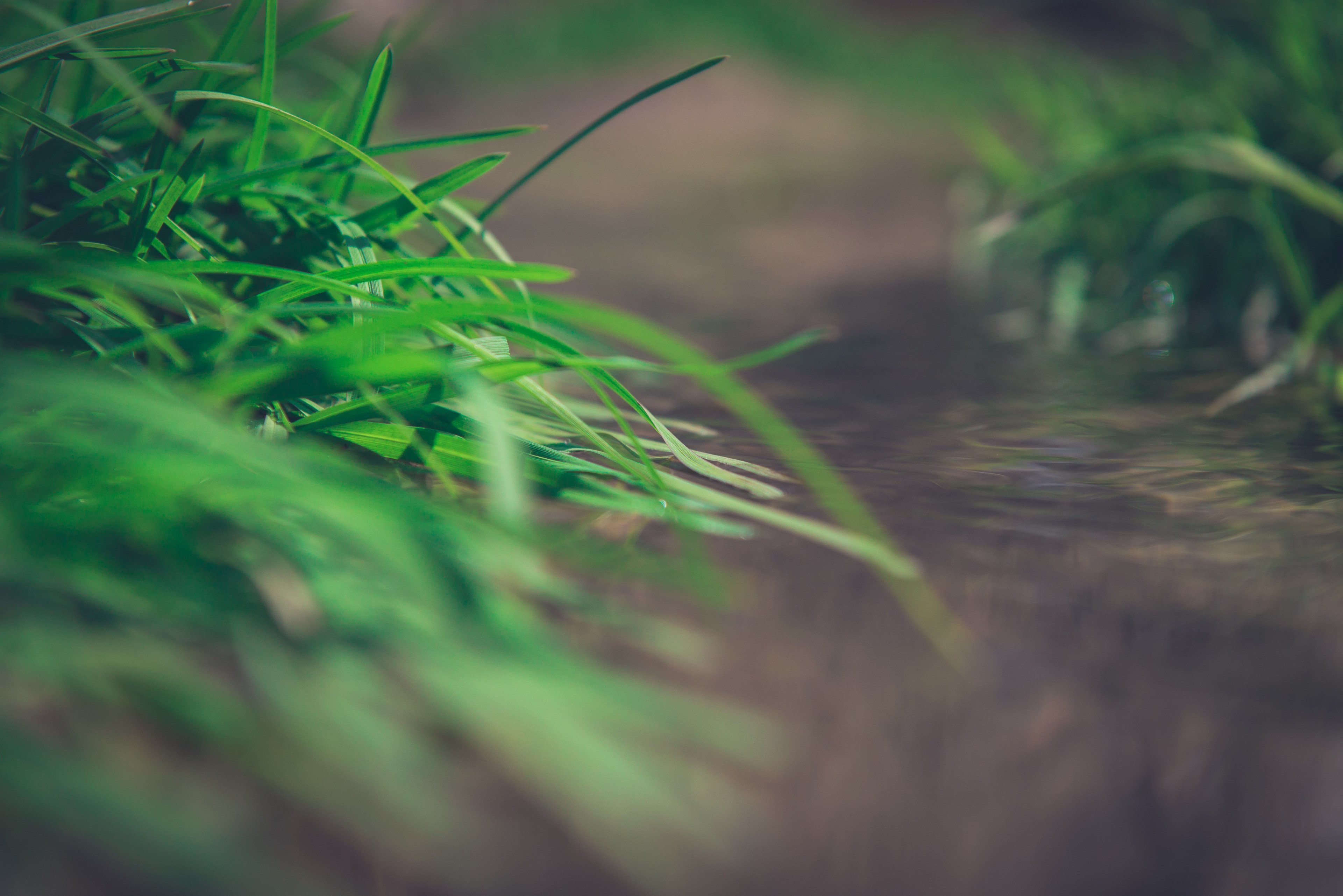 river lake bokeh and flow 4k, HD Wallpaper