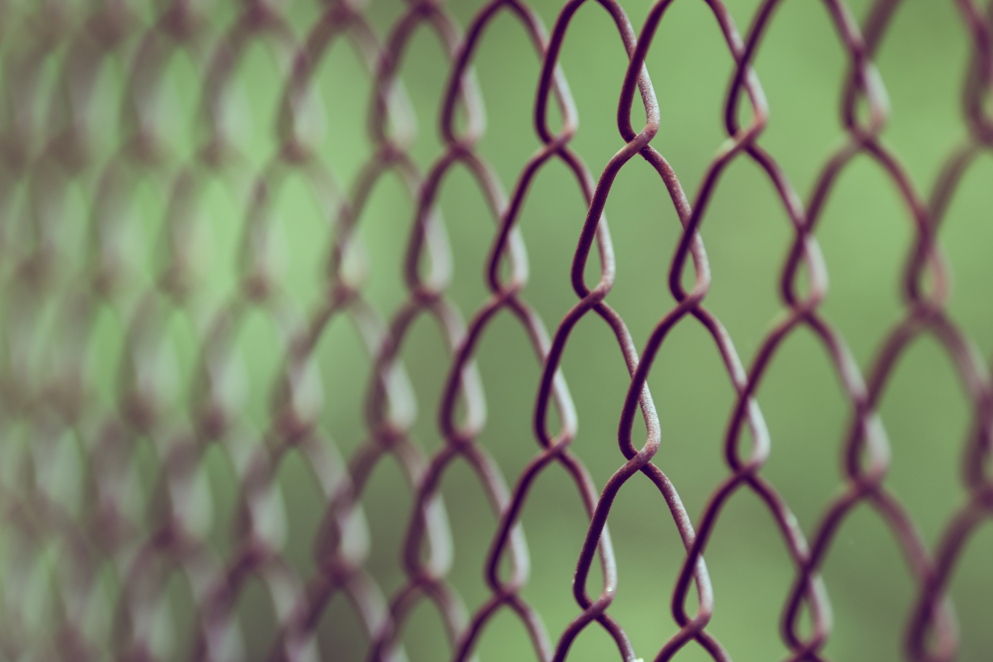 chainlink chainlink fence fence and barrier 4k, HD Wallpaper