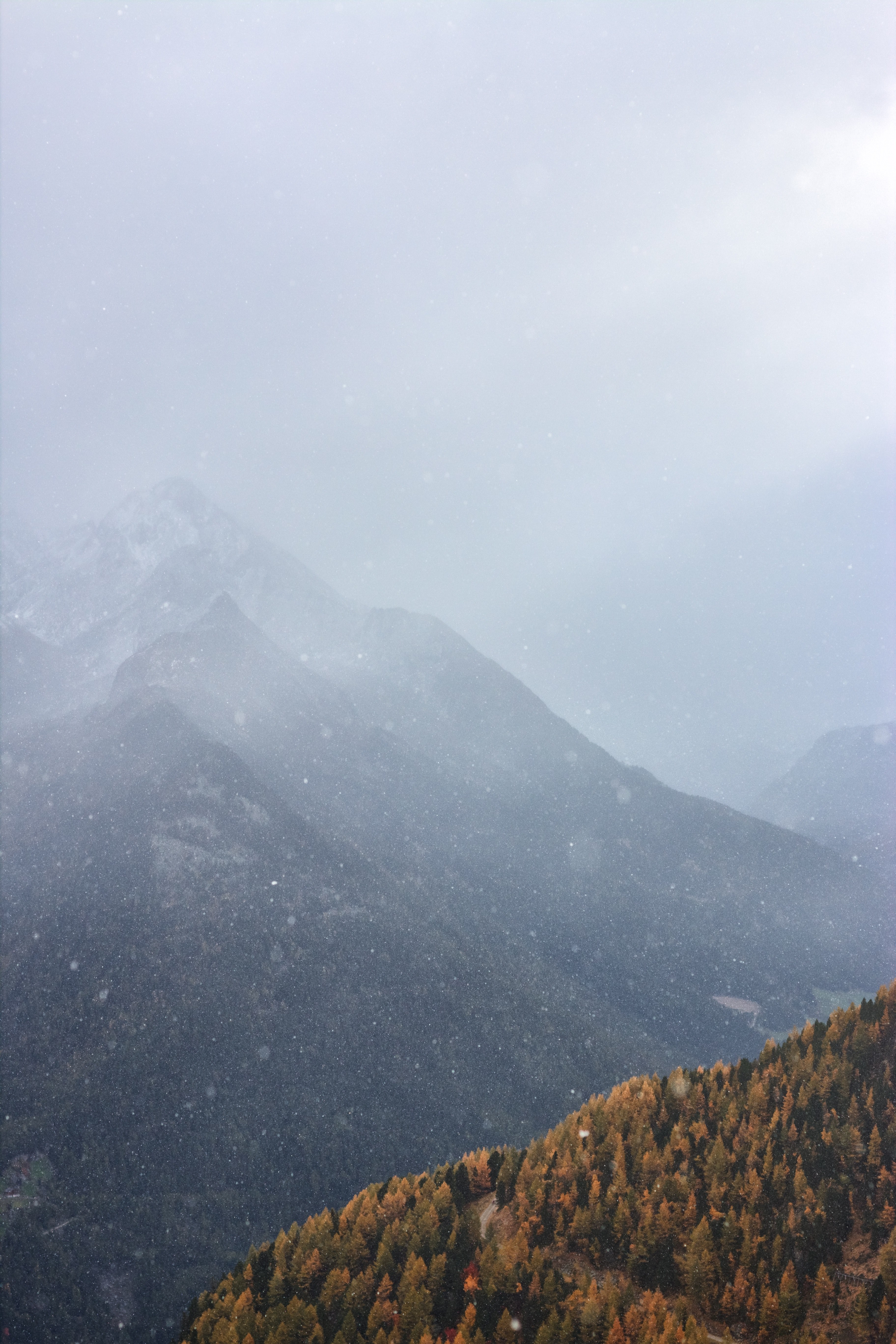 light snowfall 4k, Phone HD Wallpaper