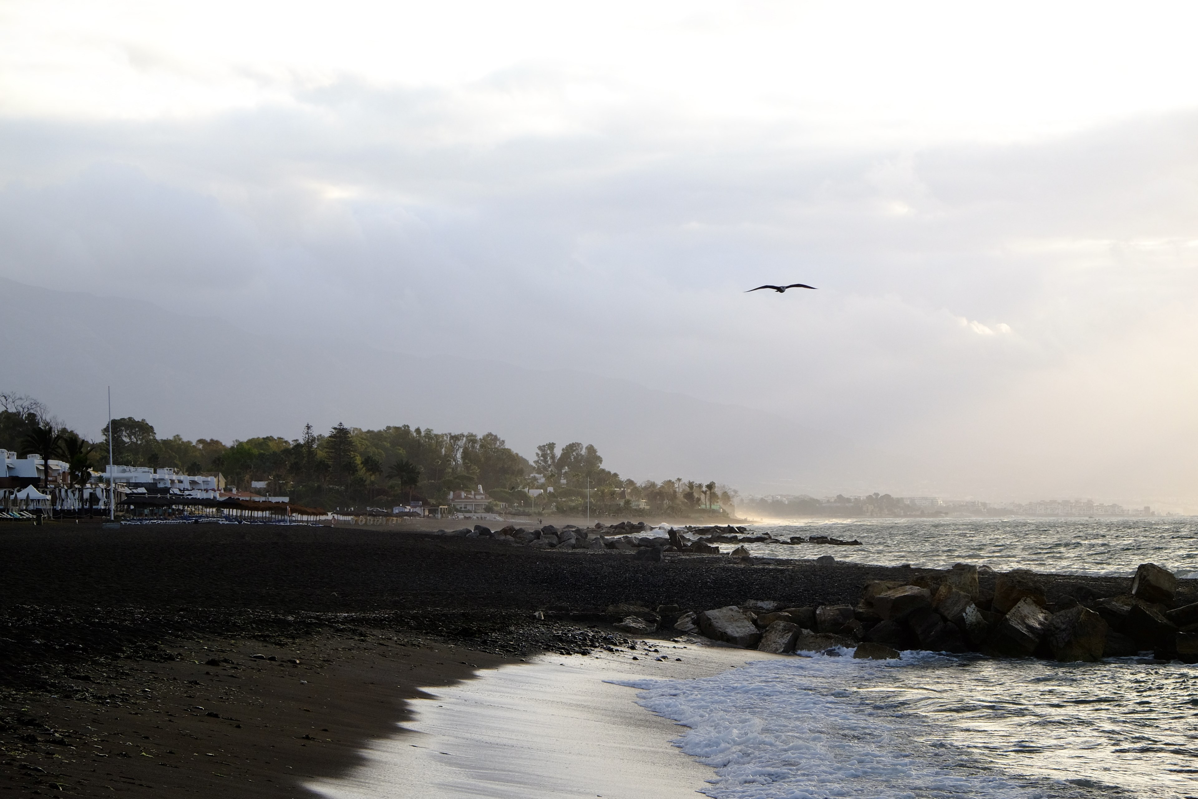 tide early morning early and seashore 4k, HD Wallpaper
