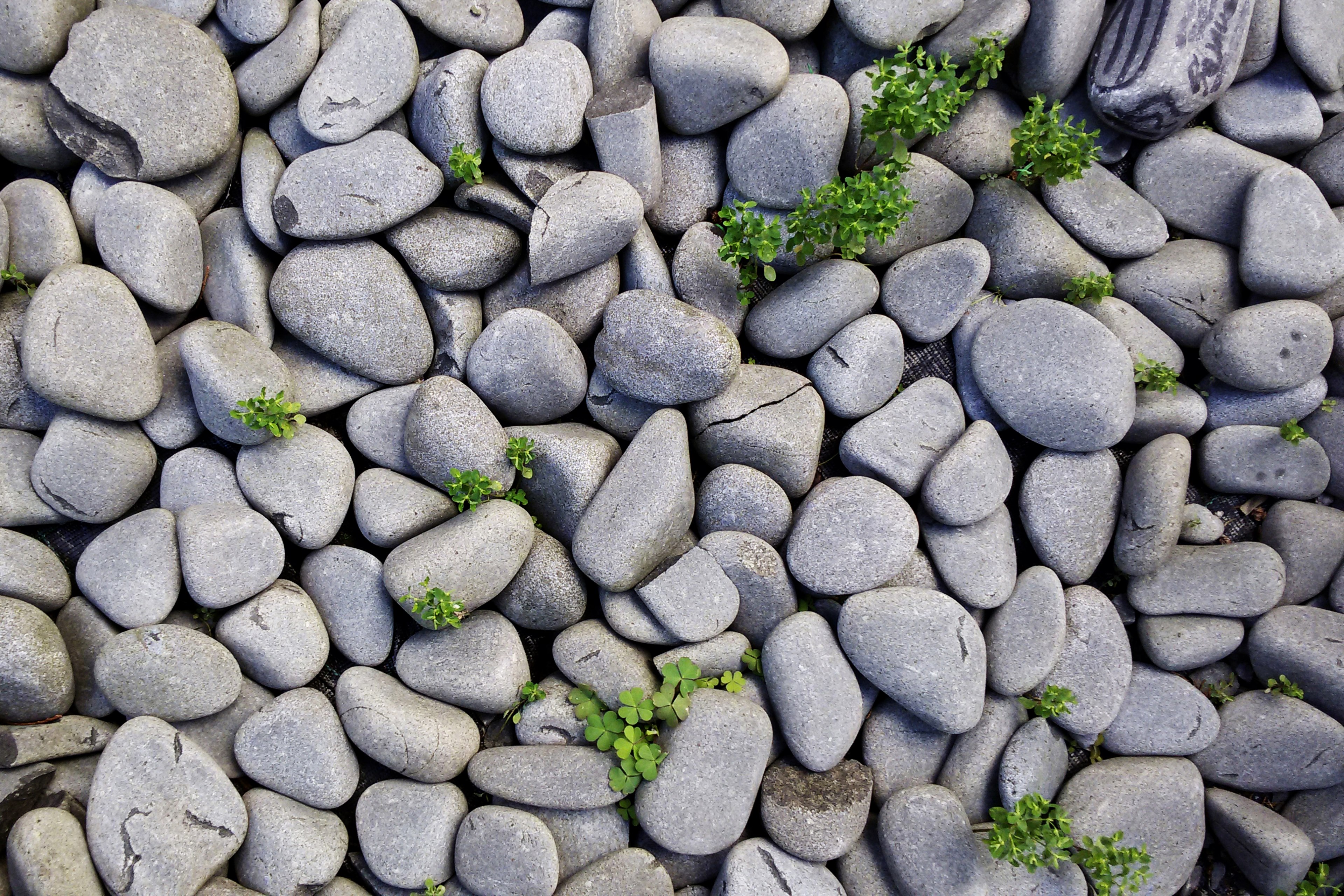 rock stone pebble and nature 4k, HD Wallpaper