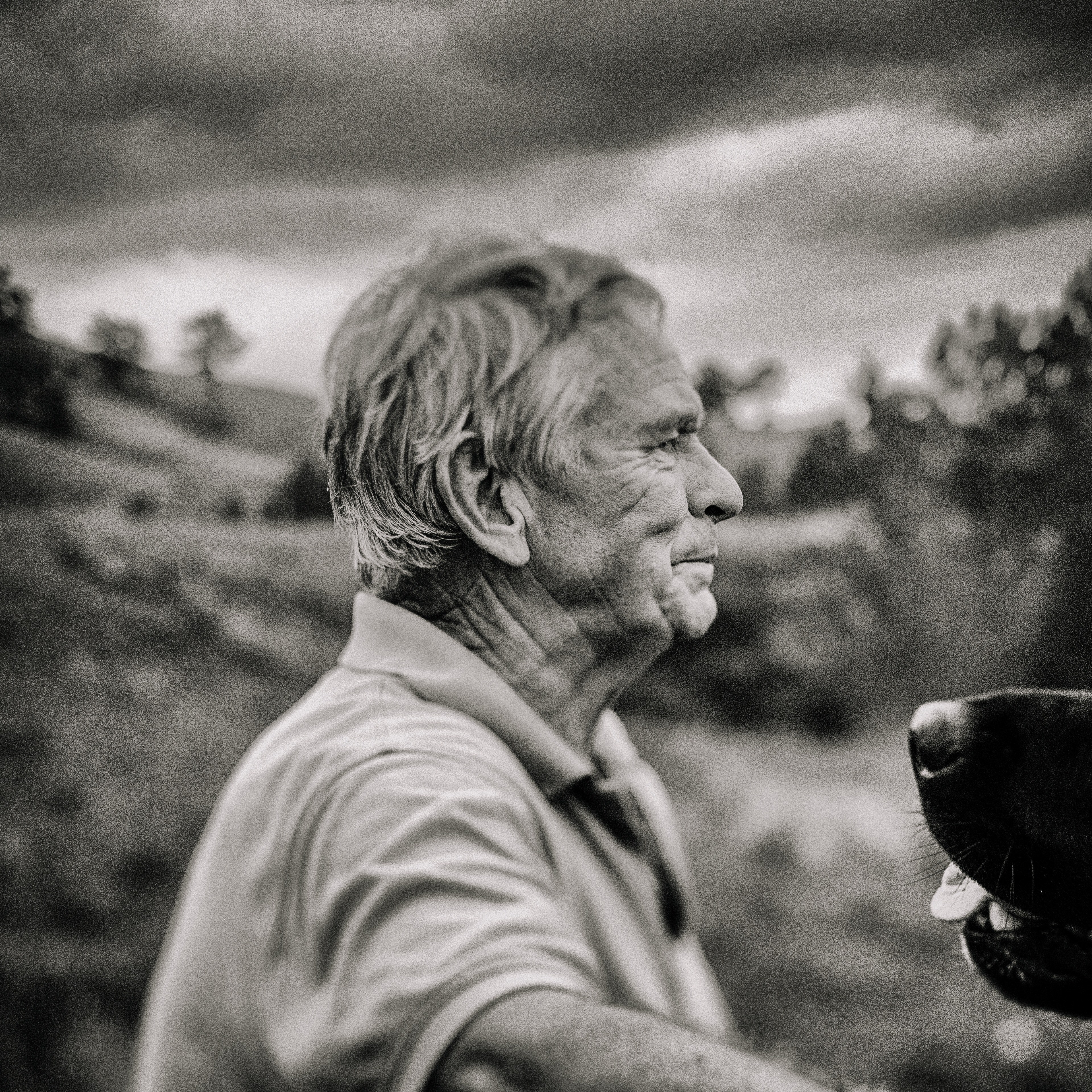 old man looking out into the distance of a field in black and white, _nook 4k, HD Wallpaper