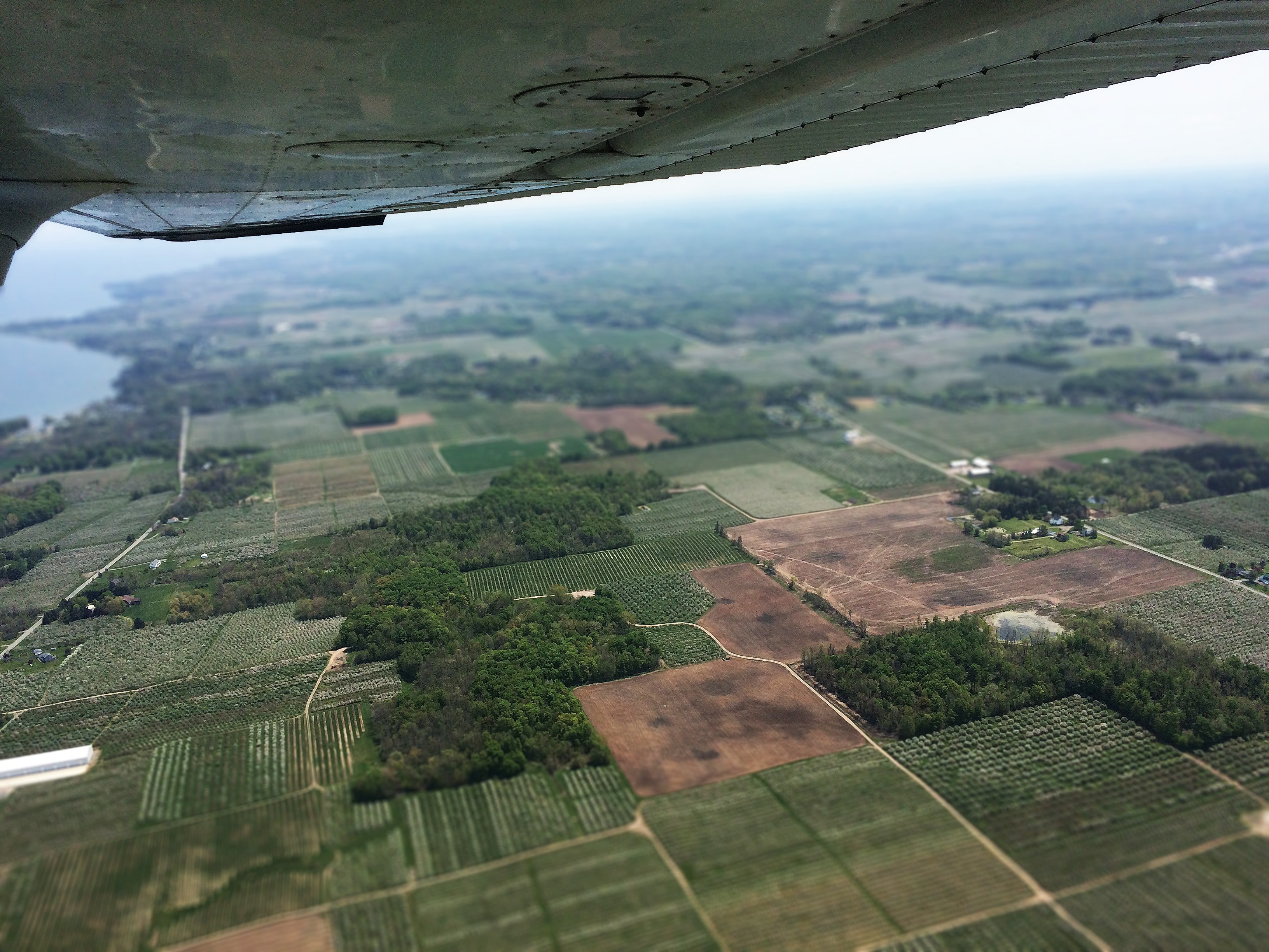 land tree aerial view and farmland 4k, HD Wallpaper