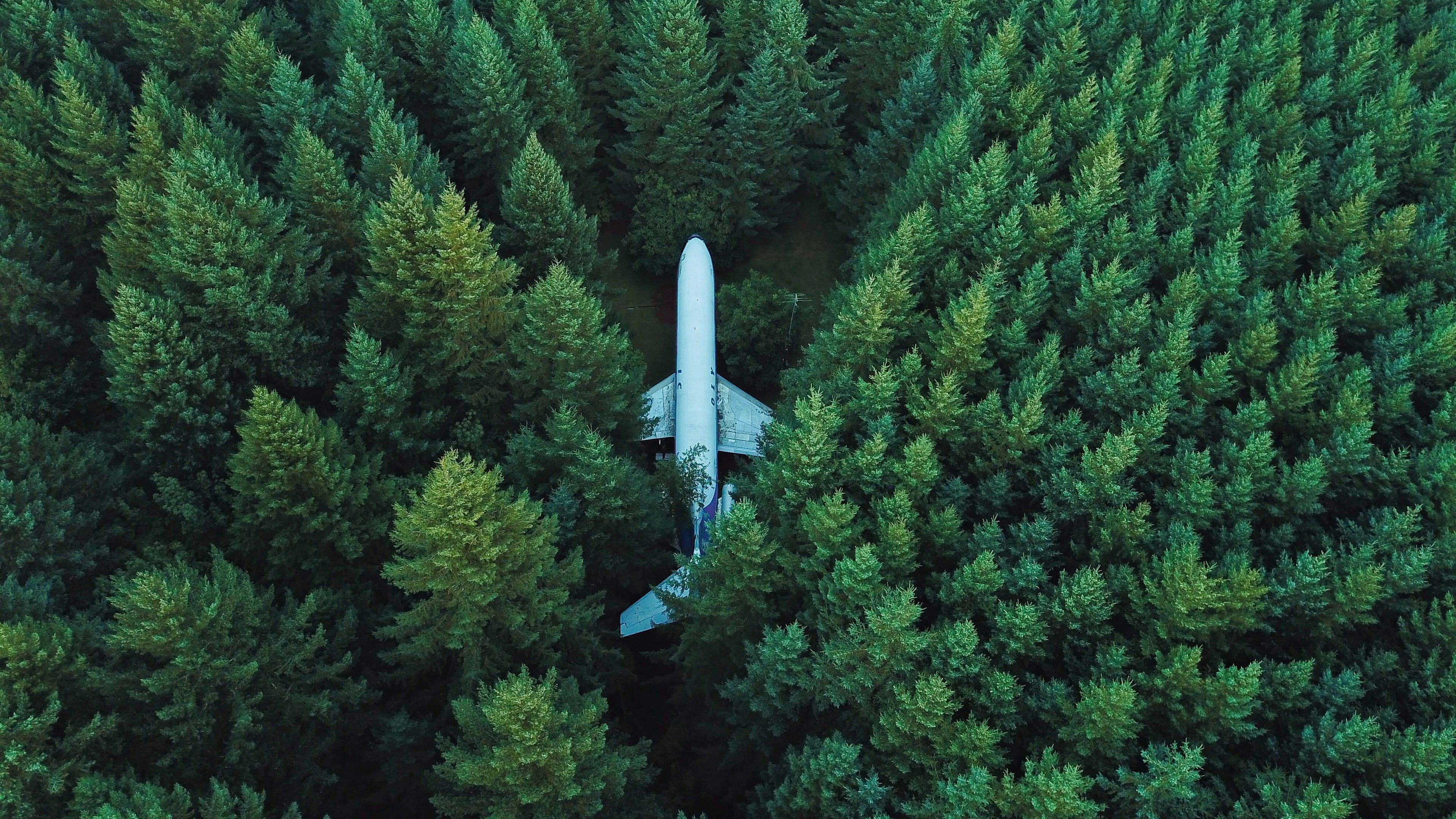 airplane, trees, top view, 4k, HD Wallpaper