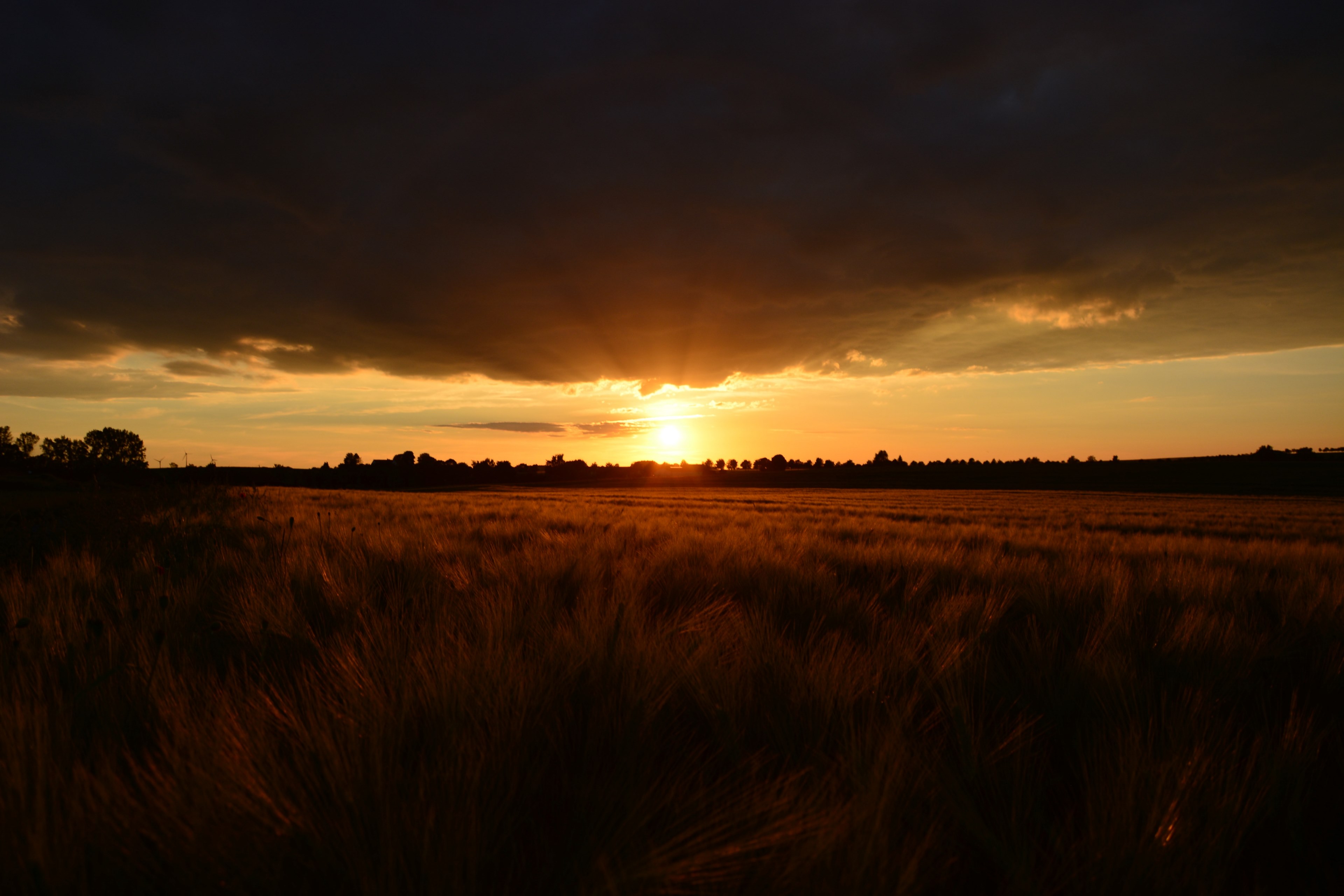 village moments 4k, HD Wallpaper