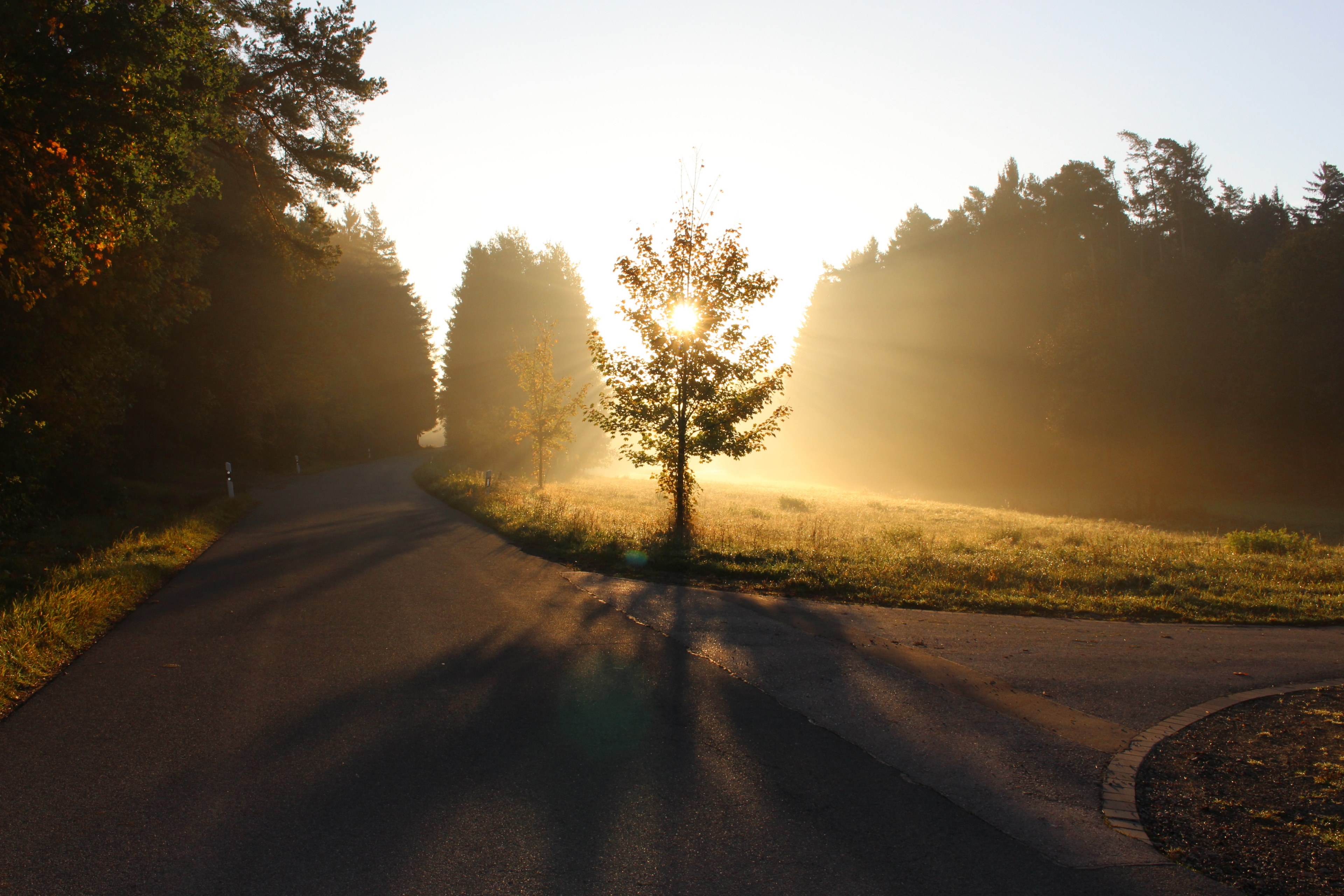 fall is coming 4k, HD Wallpaper