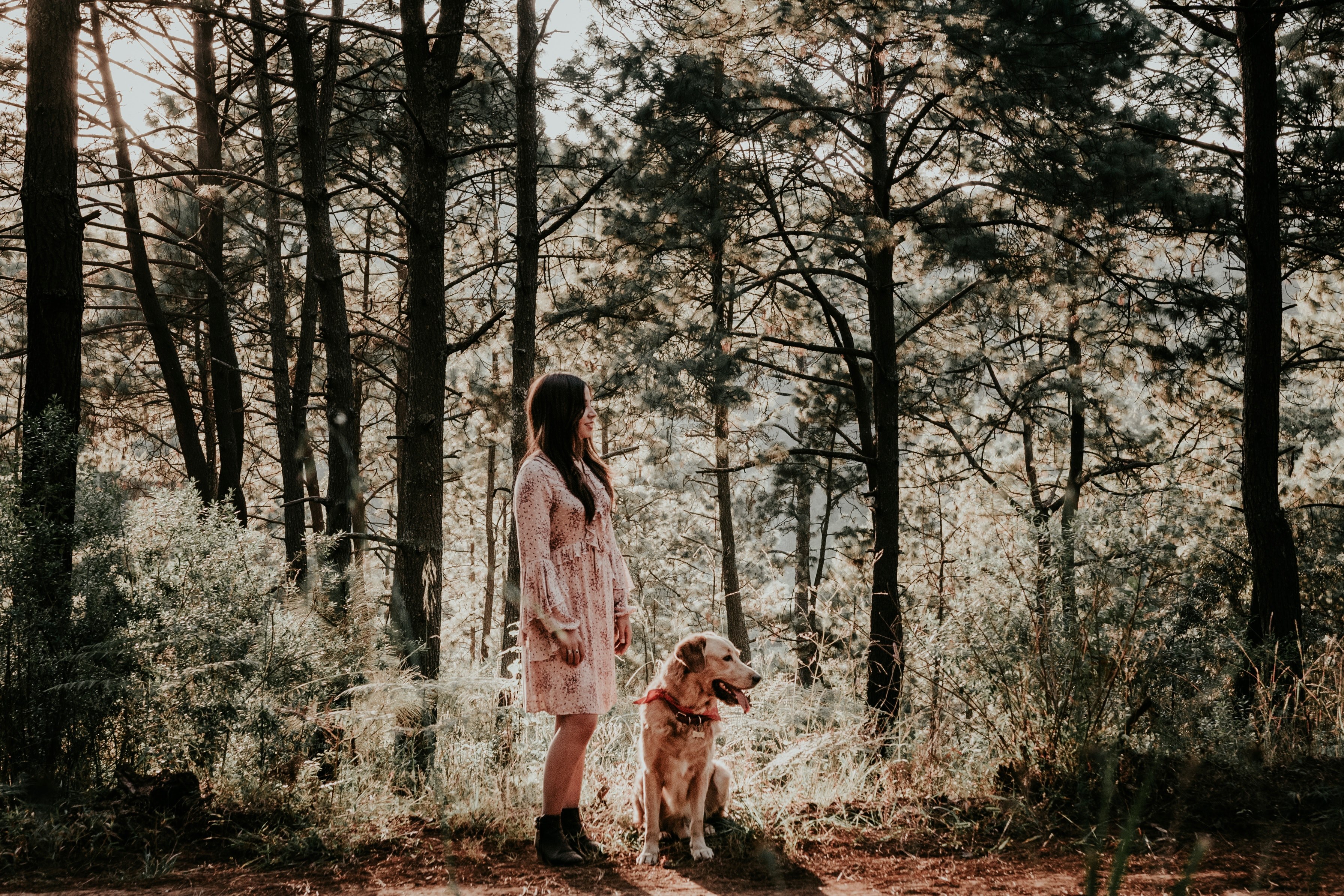 tree woodland forest and woman 4k, HD Wallpaper
