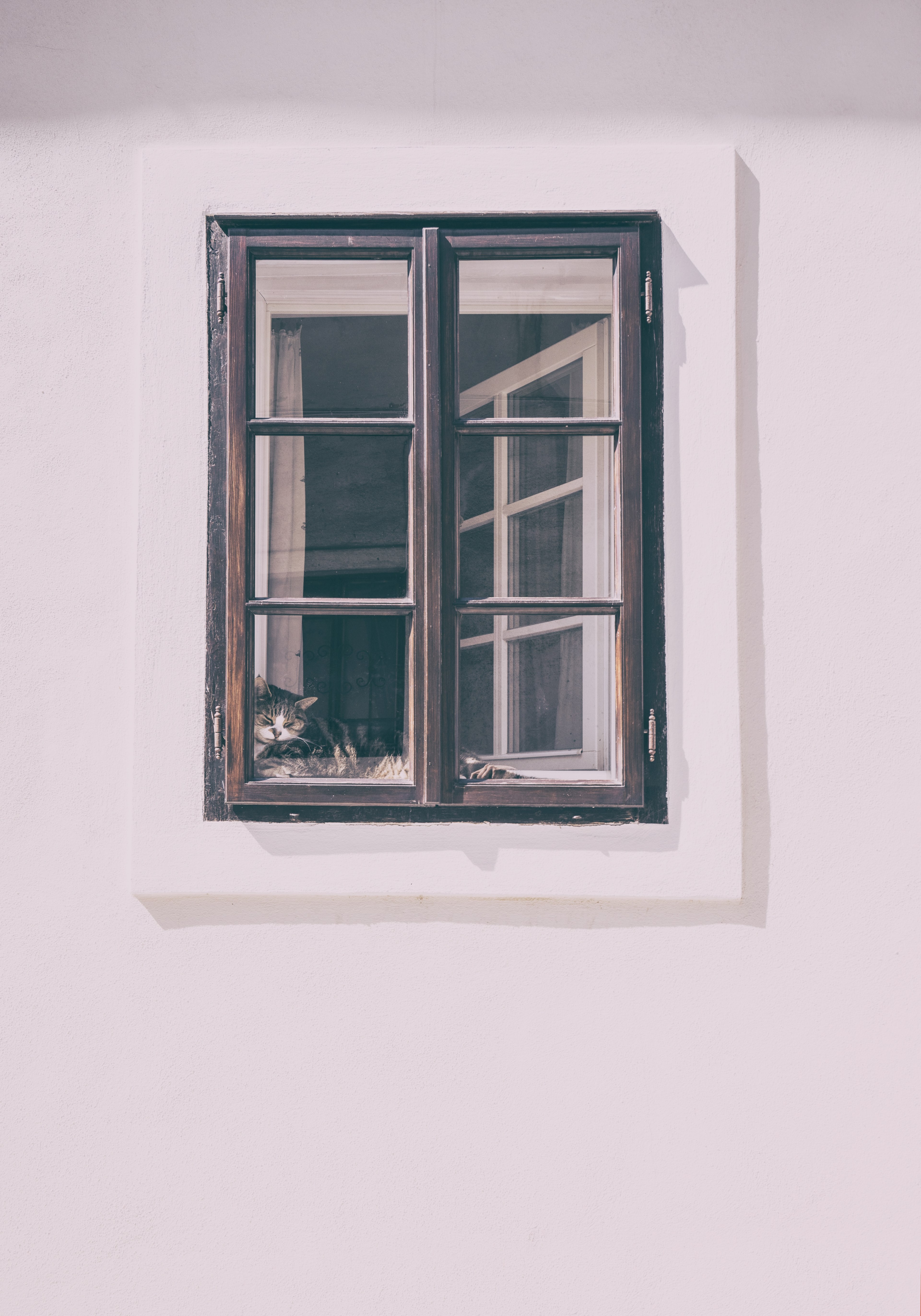 a tabby cat lying on the window sill seen from the outside, a tired soul on display 4k, Phone HD Wallpaper