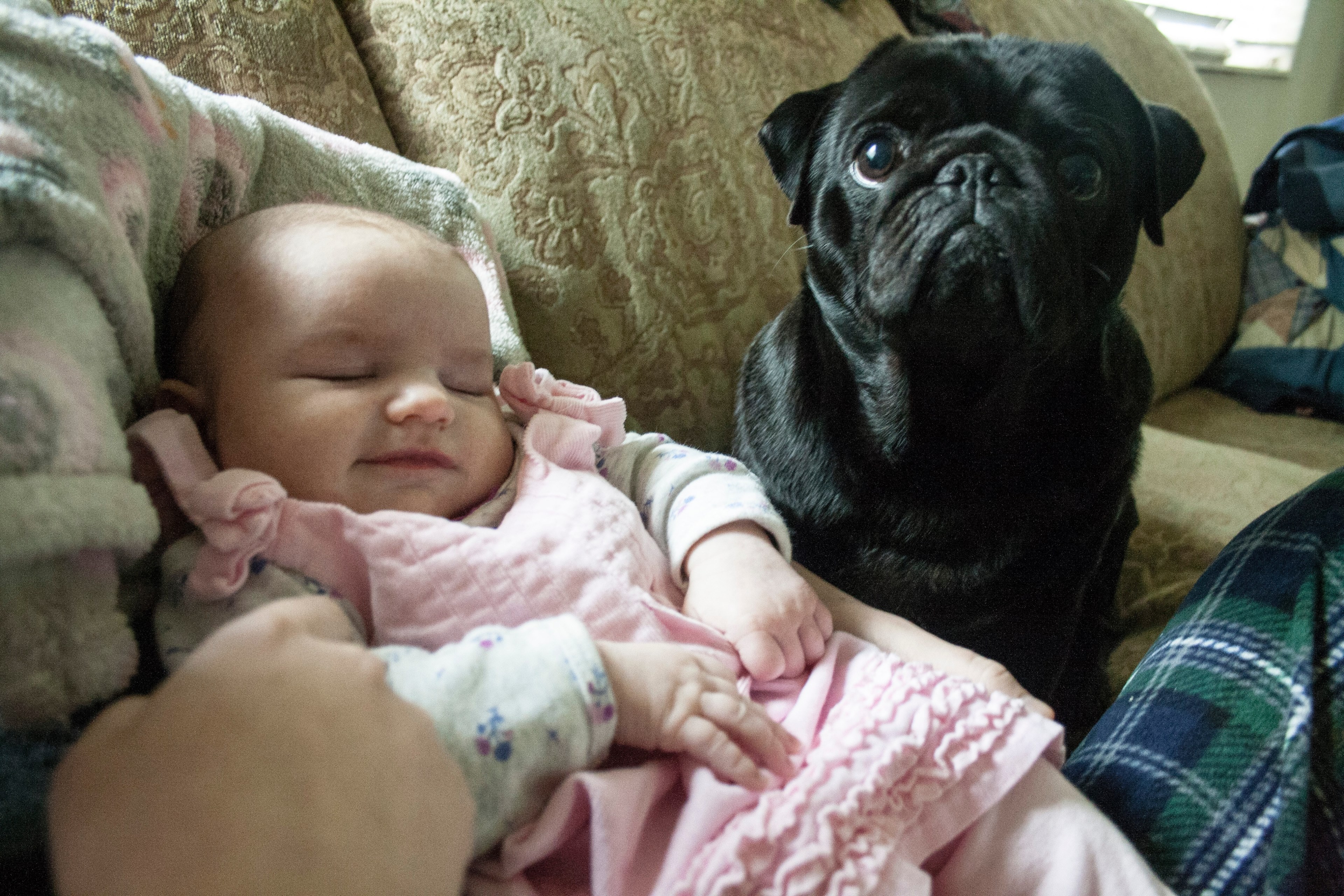 cozy soft smile and newborn 4k, HD Wallpaper
