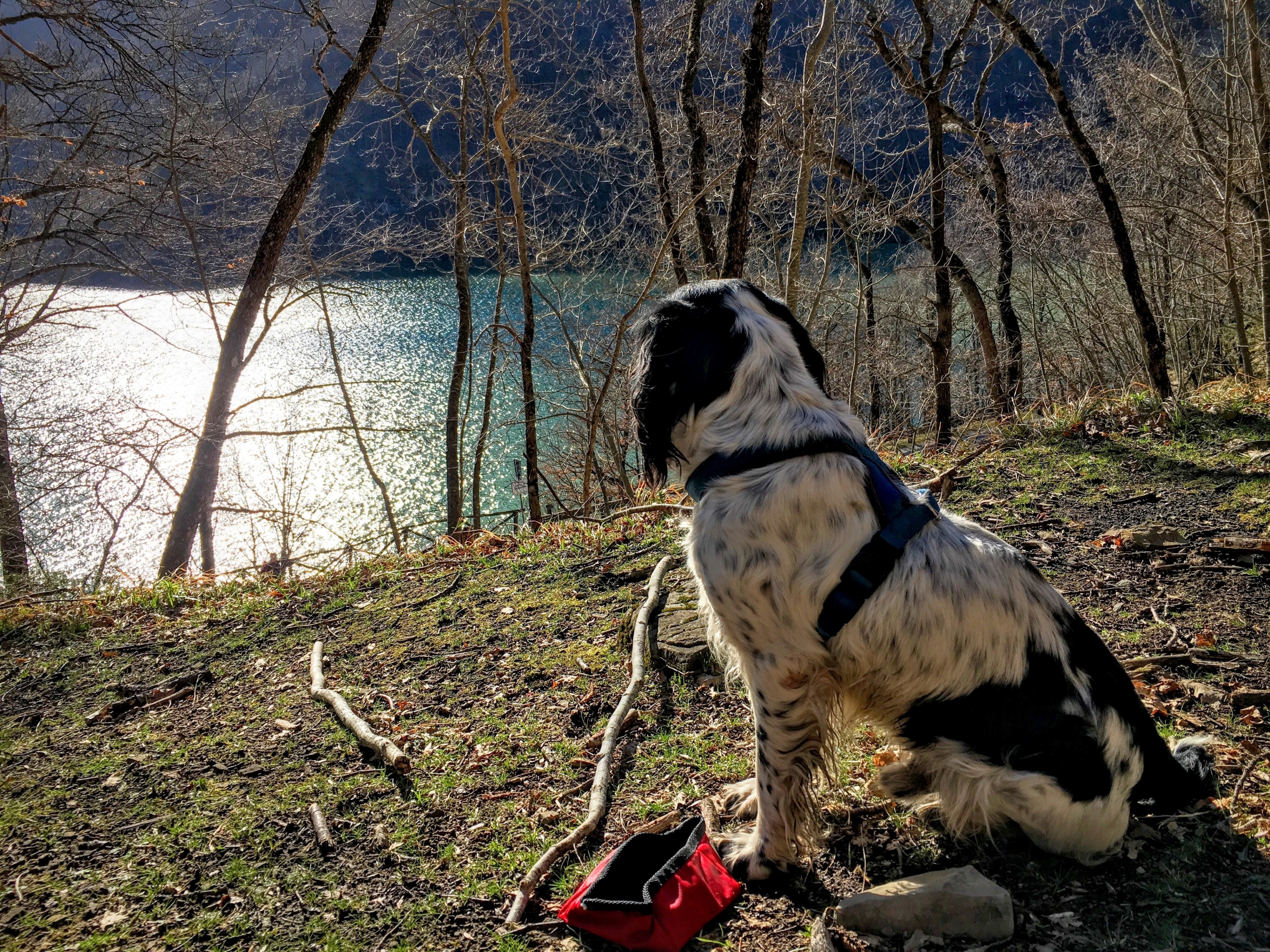 sunday water italy and dam 4k, HD Wallpaper