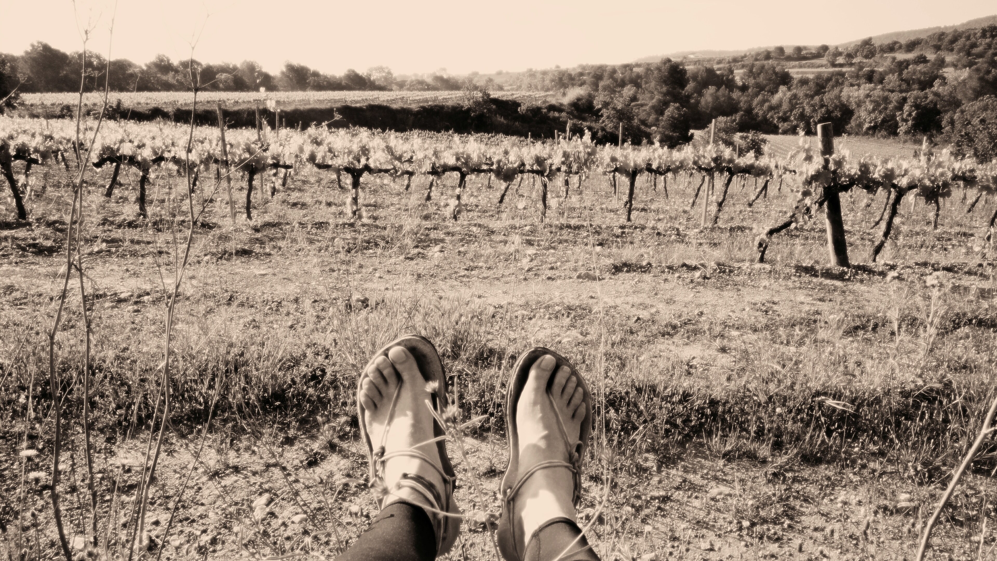 barefoot what else 4k, HD Wallpaper