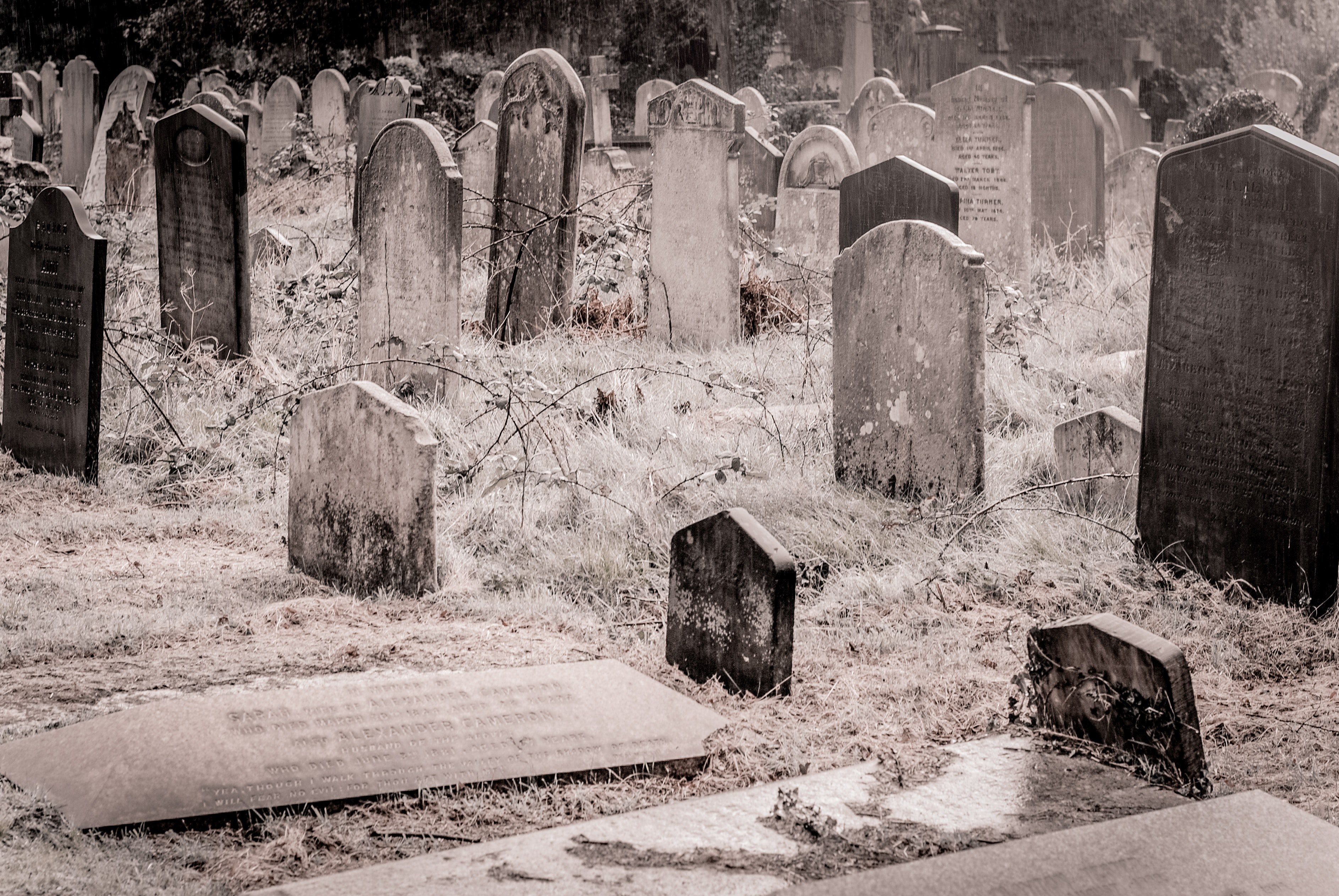 scare scary celtic and churchyard 4k, HD Wallpaper