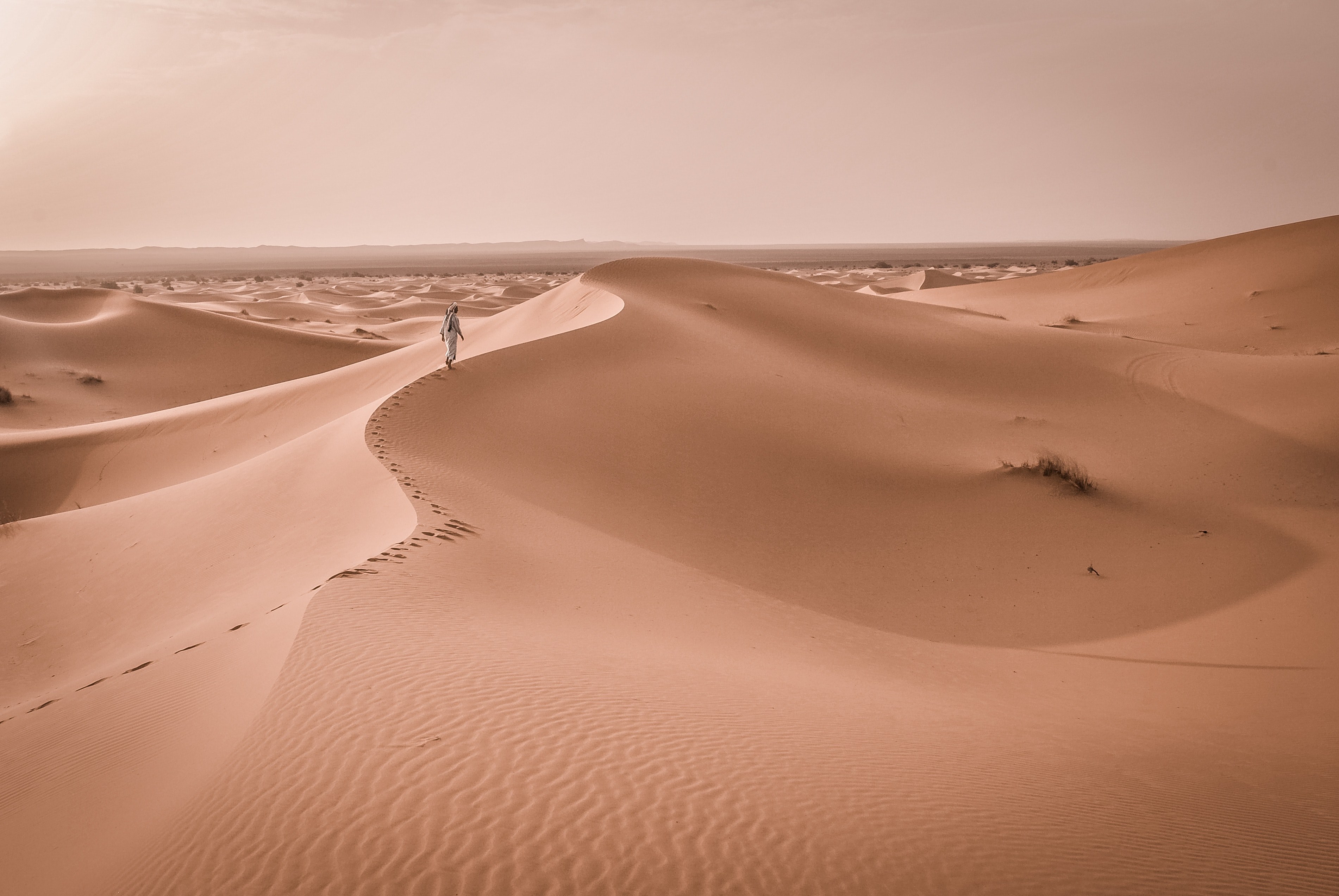 hiker walks along a sandy ridge in the desert of merzouga, adventurous desert hikes 4k, HD Wallpaper