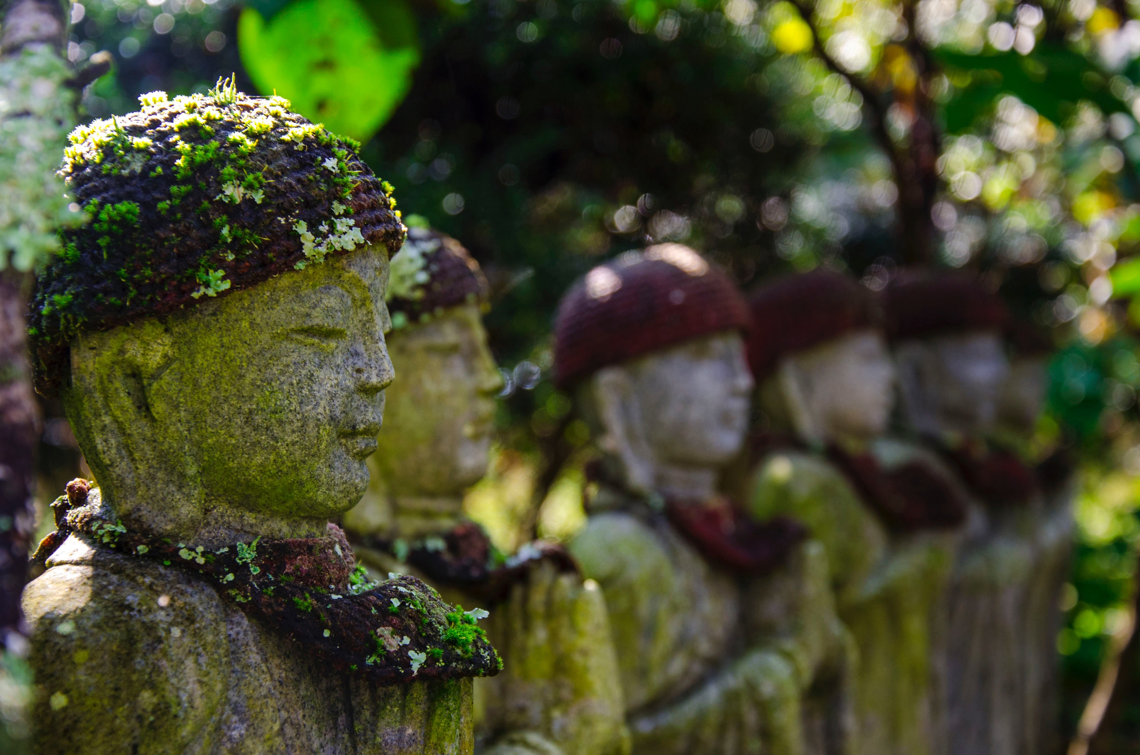 buddhist pilgrimmage statue and green 4k, HD Wallpaper