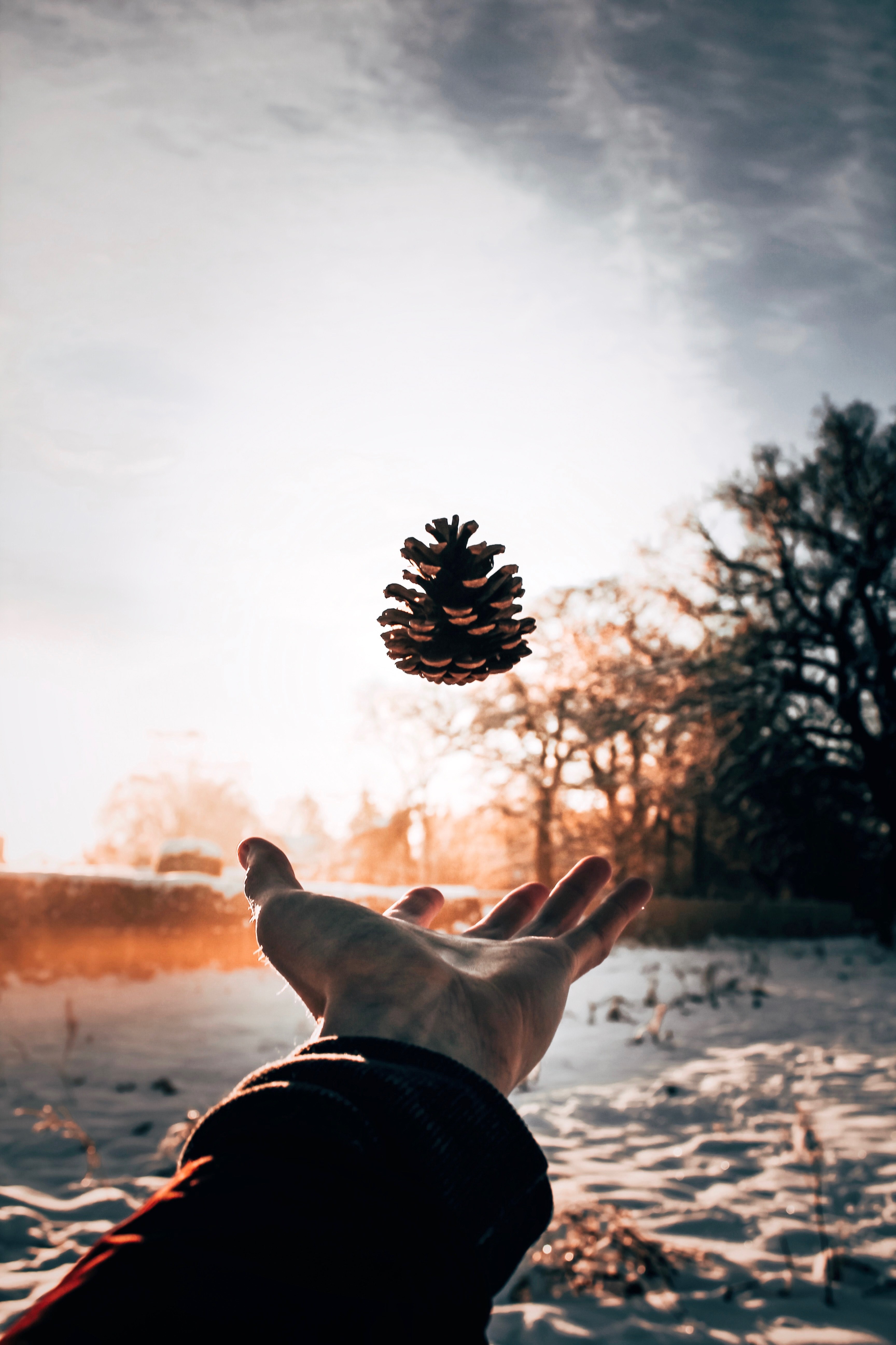freezing time 4k, Phone HD Wallpaper