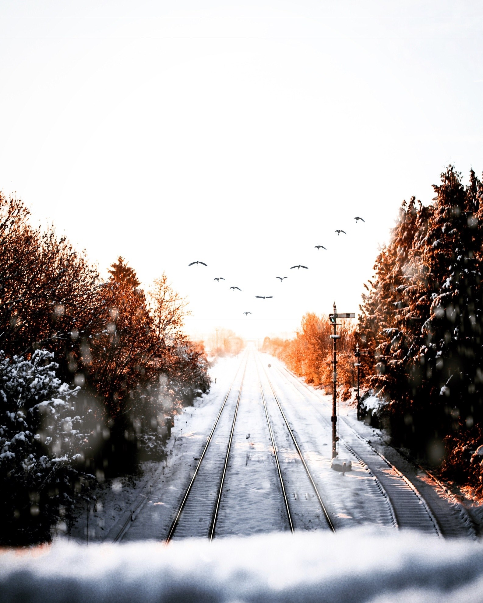 heading home for the winter 4k, Phone HD Wallpaper