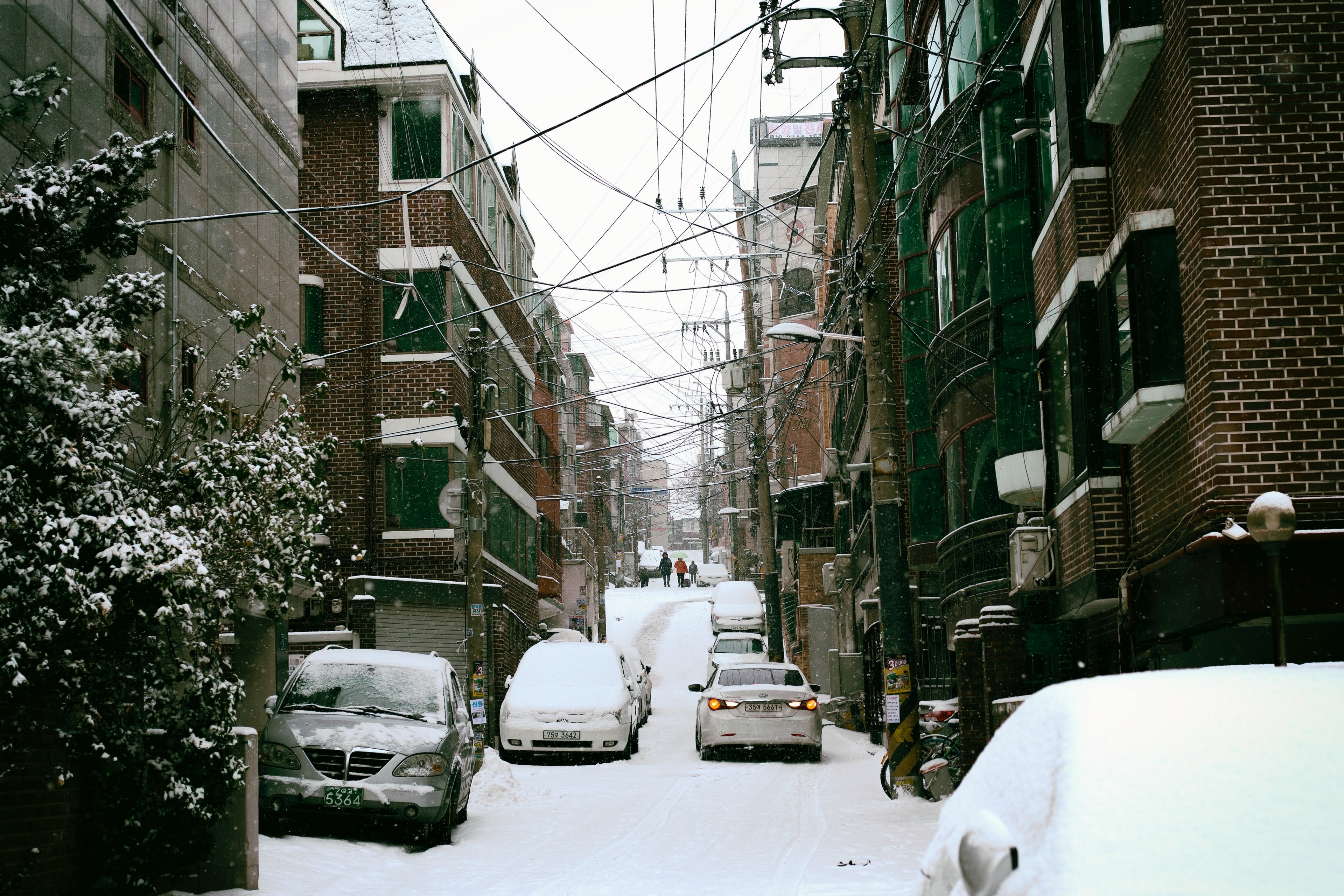snow in december 4k, HD Wallpaper